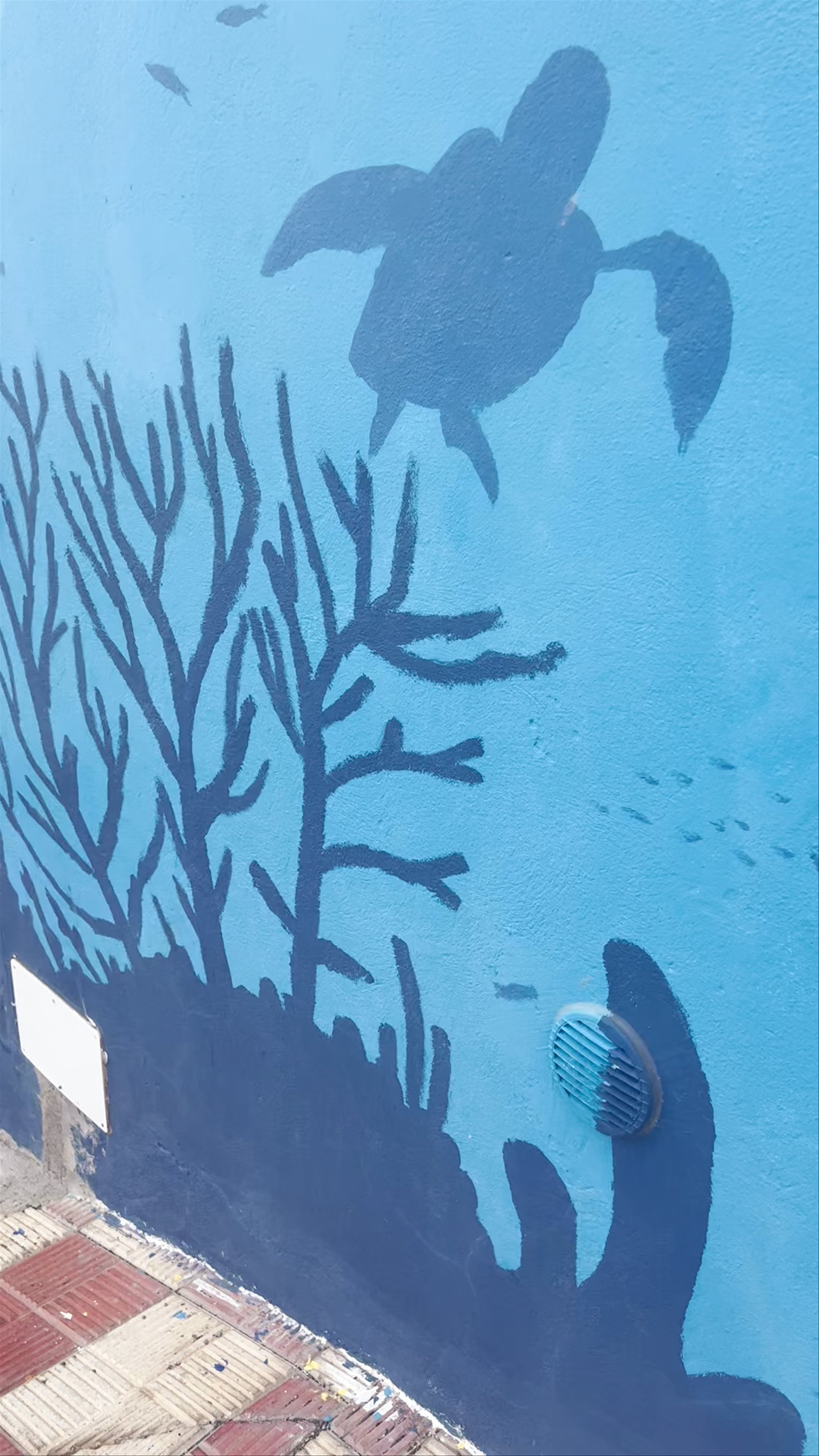 Centro de Buceo El Bajón