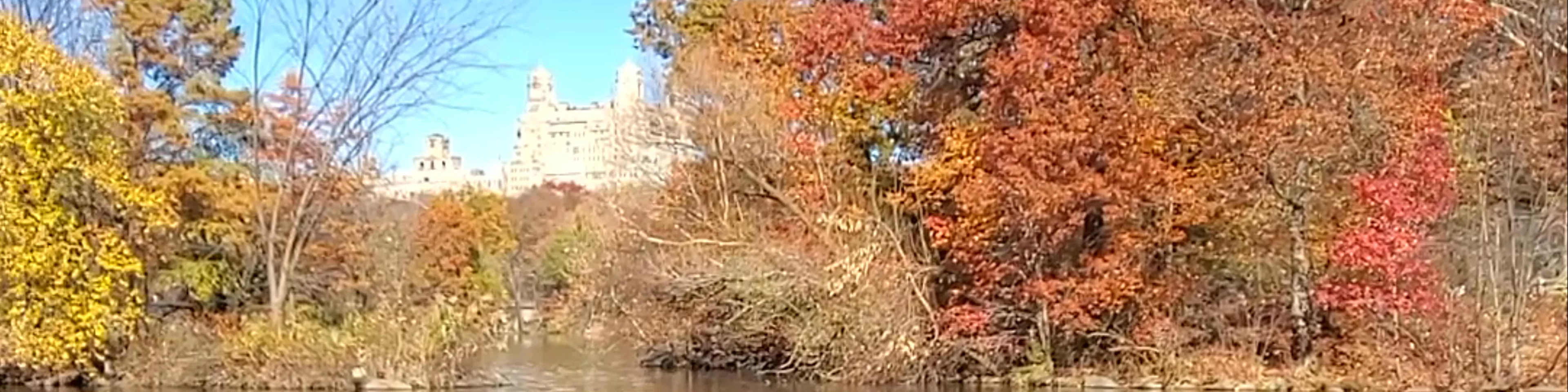 Central Park