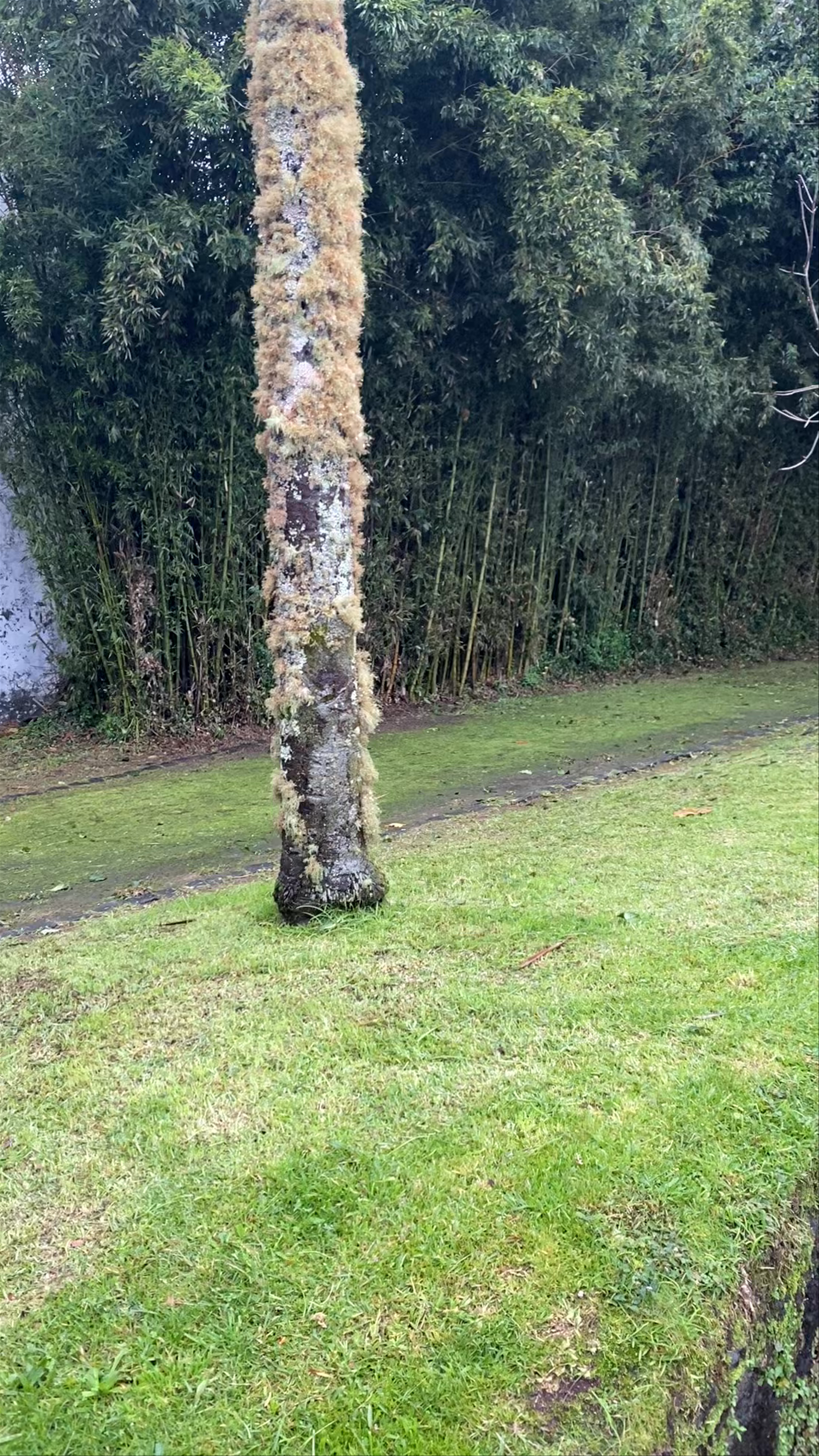 Parque Dona Beatriz do Canto