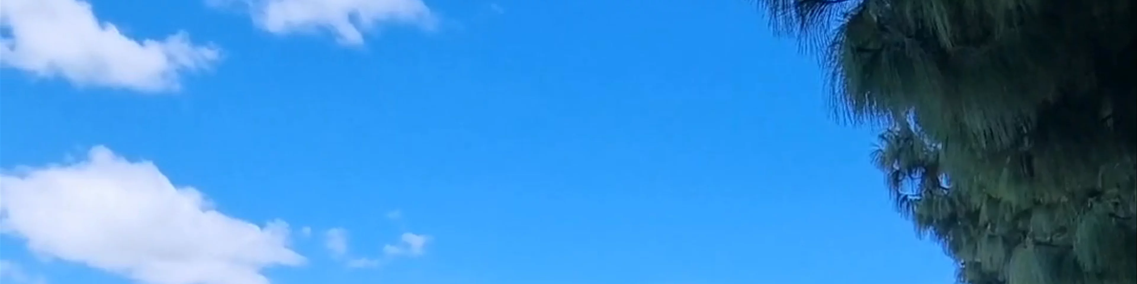 Huancaurco