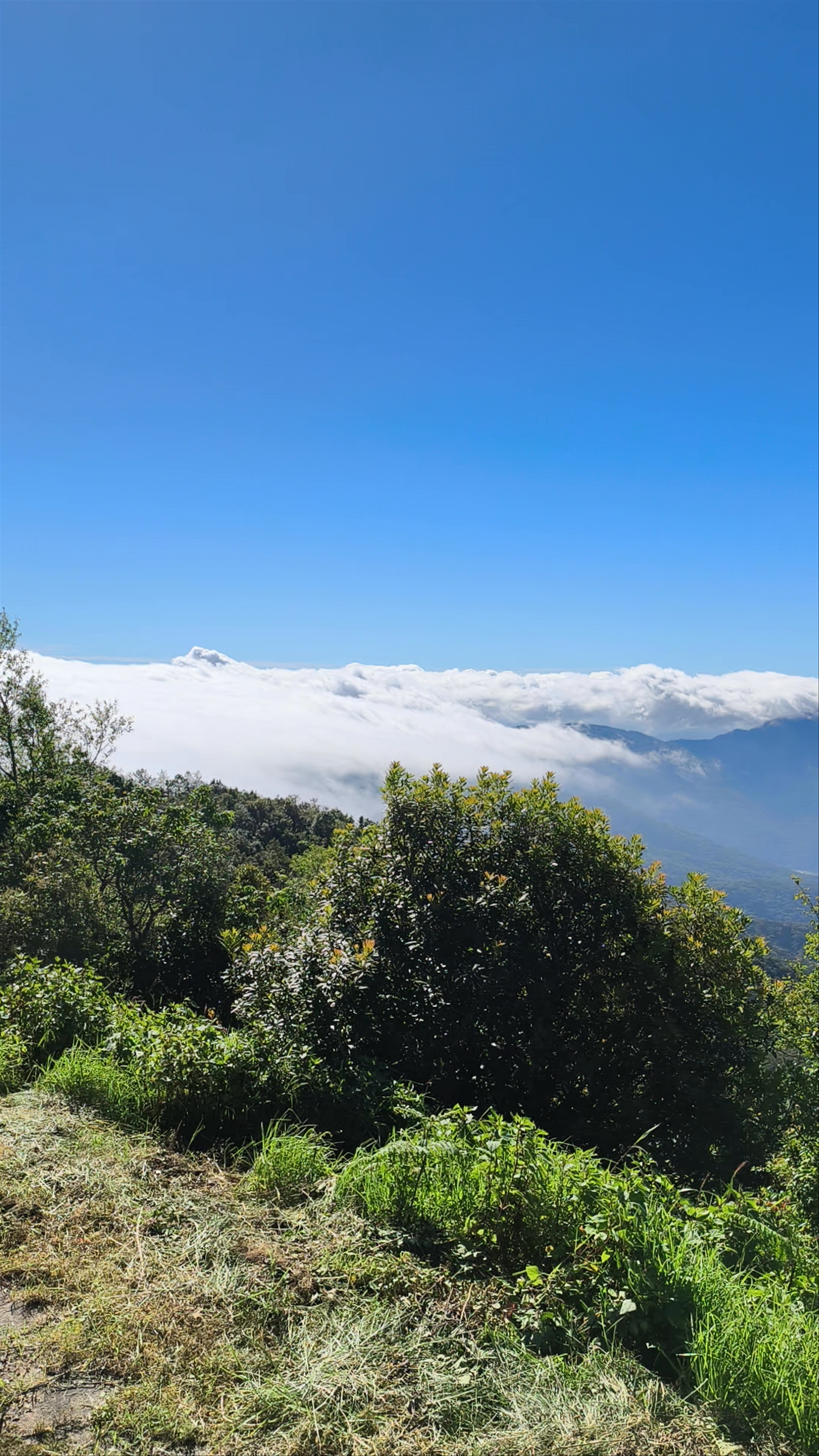 Breathtaking Panorama at Doi Inthanon Summit, Chiang Mai