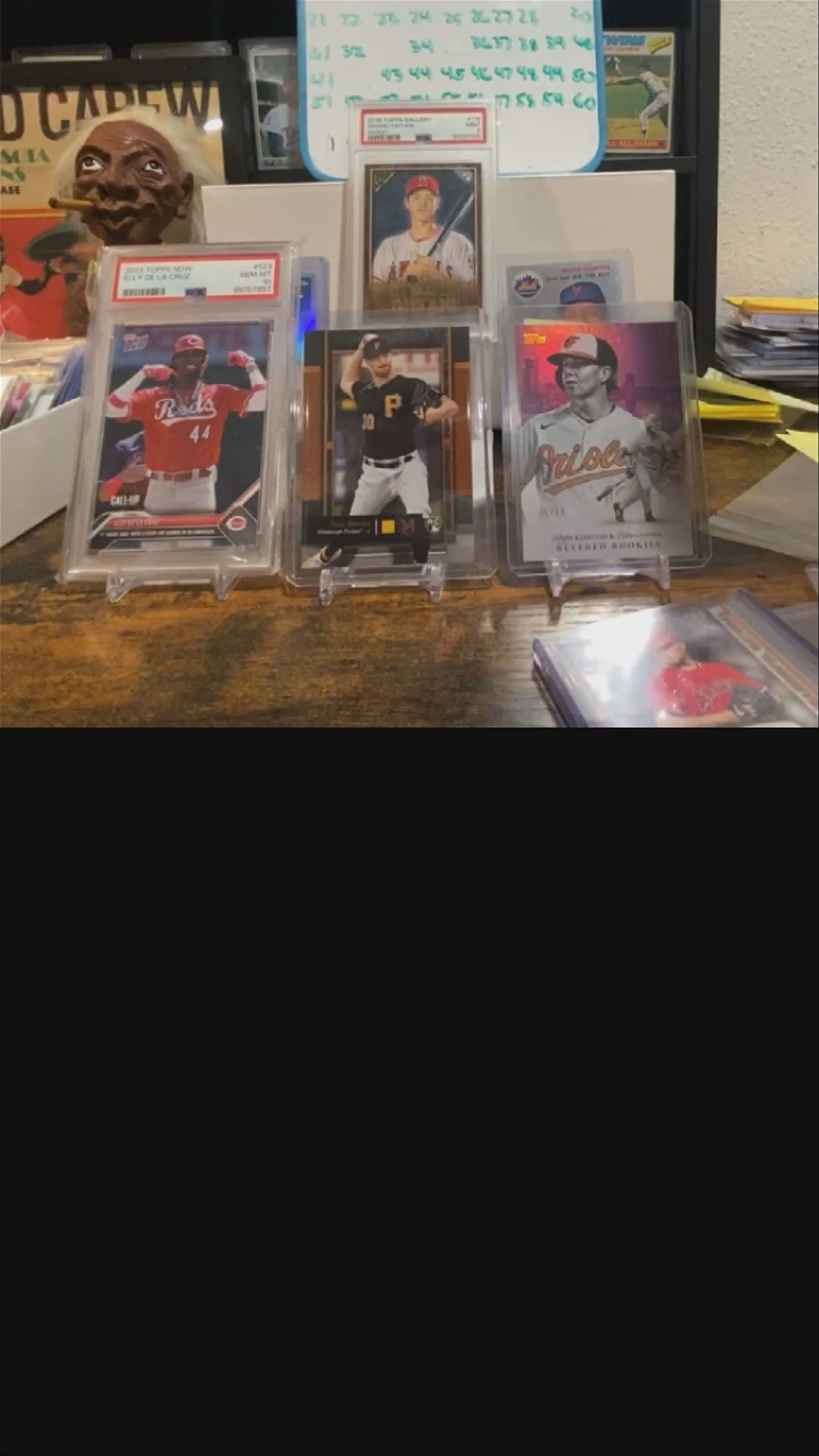 New arrivals for the boys!