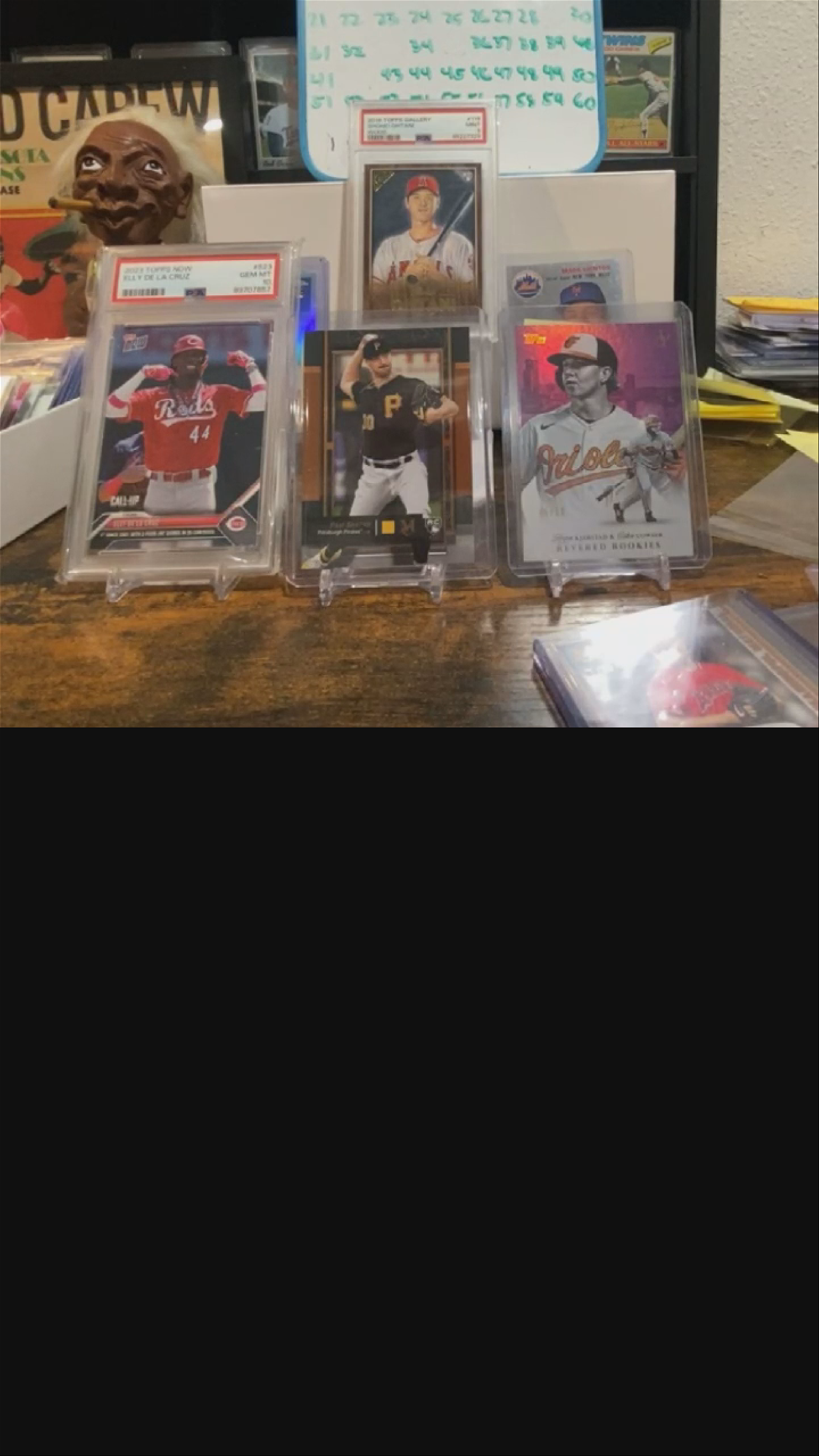 New arrivals for the boys!