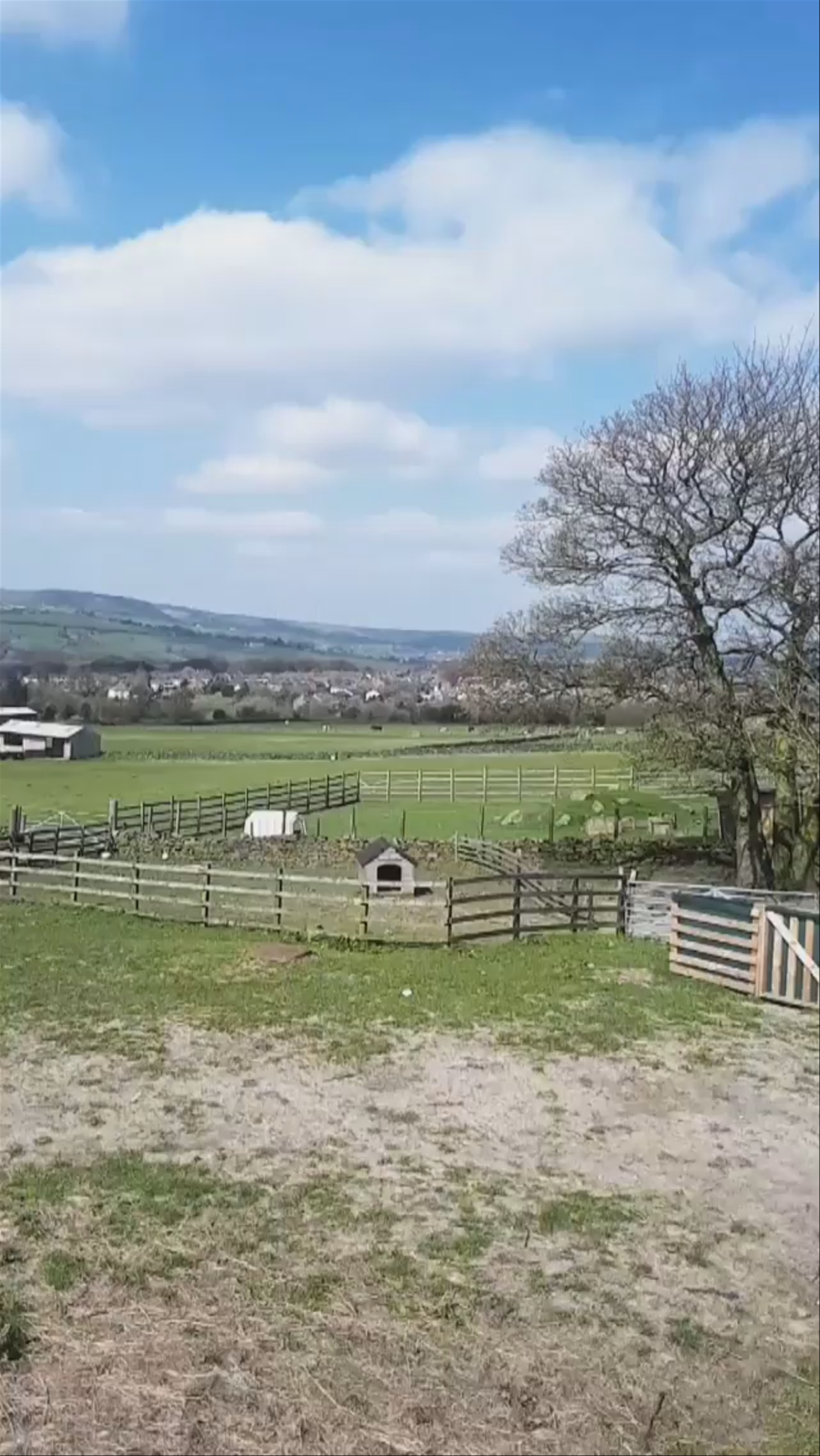 Bleakholt Animal Sanctuary: Peaceful Rural Refuge Near Bury