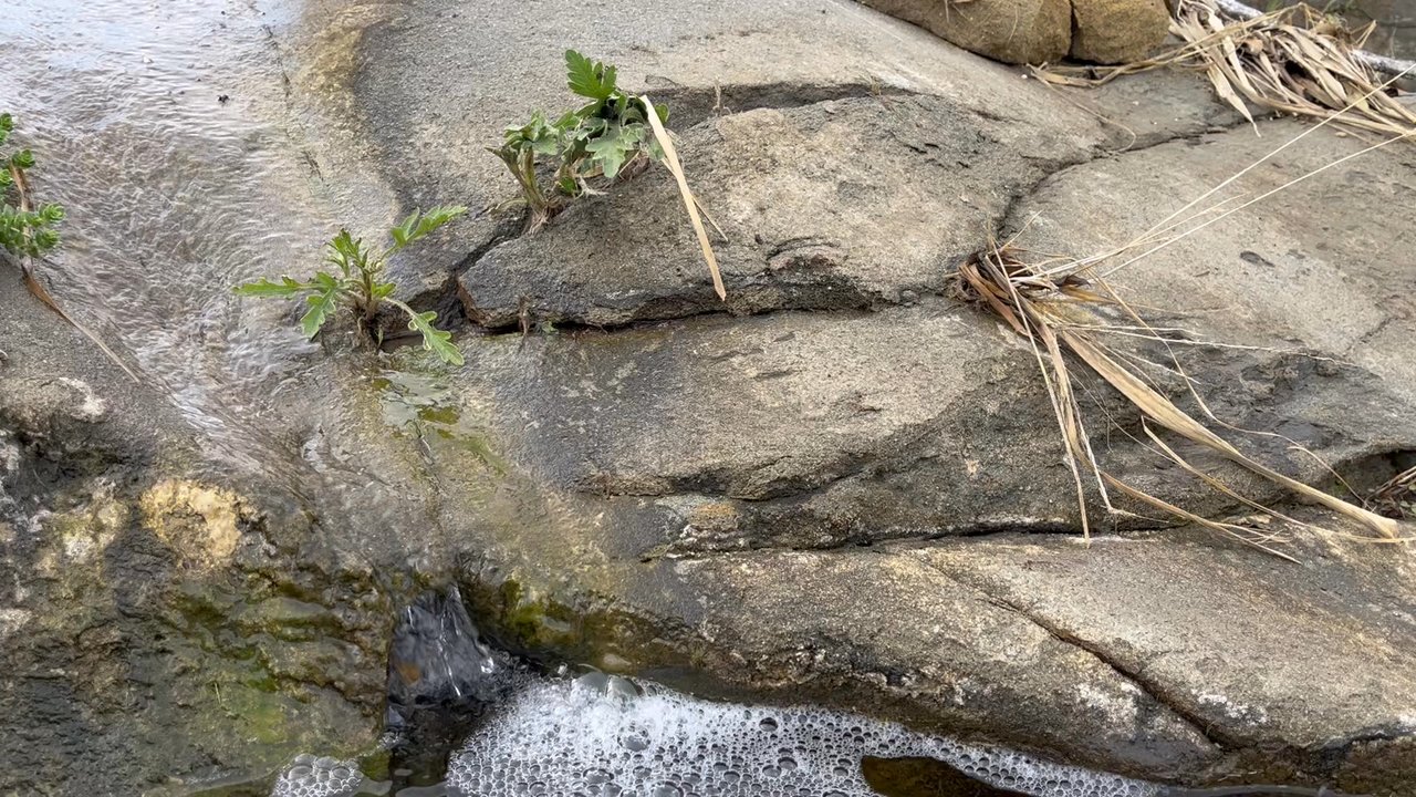 Hummingbird Trail - Hiking Near Me - Simi Valley, California