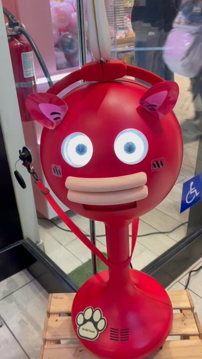 Neko Stop - Little cool fella - Hobby Shops Near Me - Arcadia, California