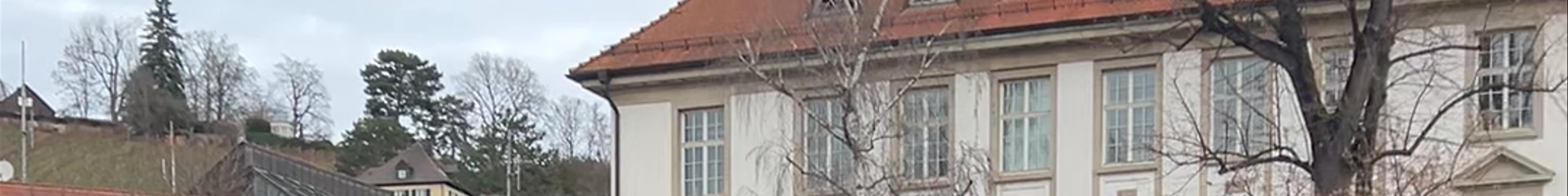 Tours & experiences in Esslingen