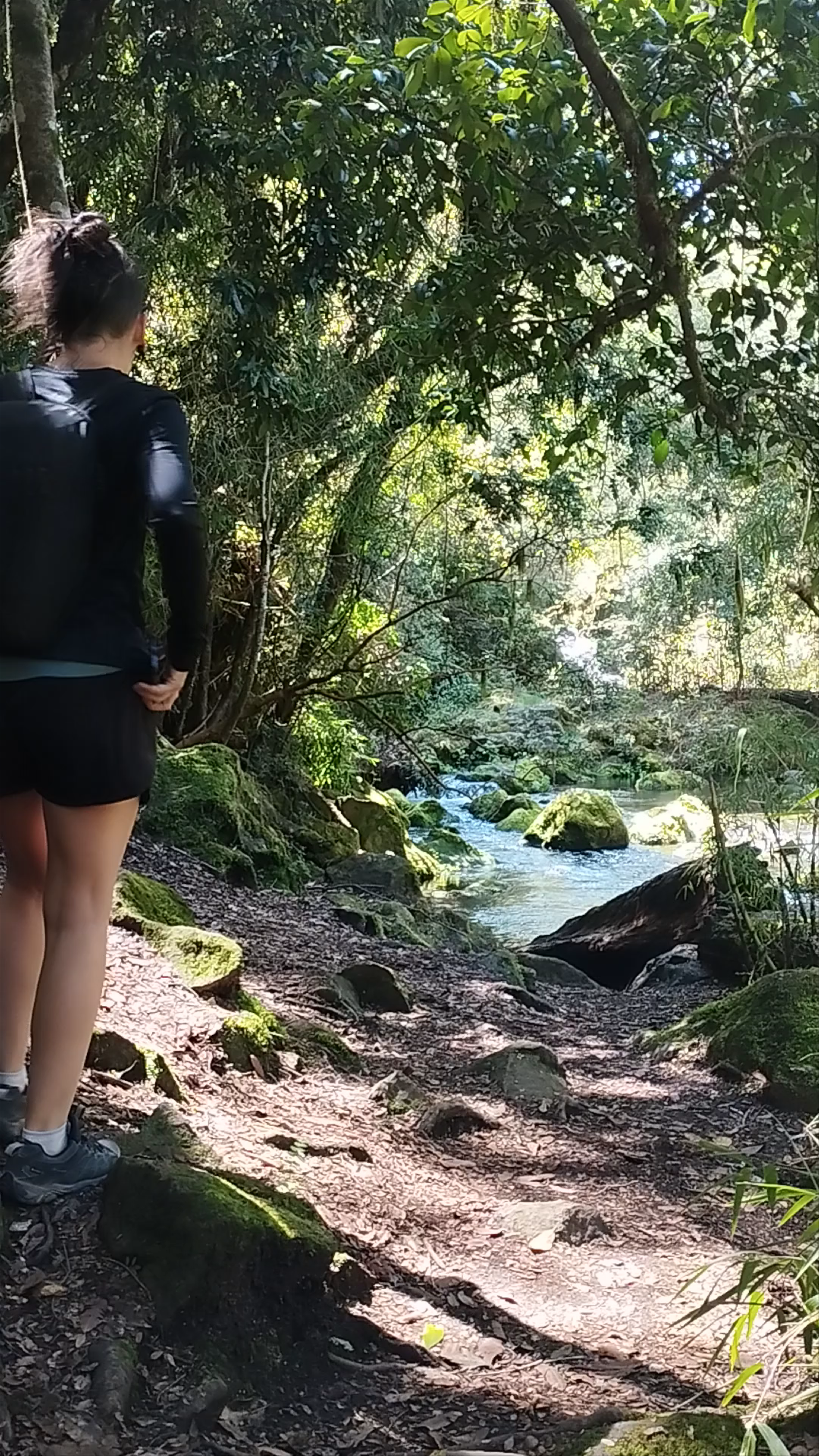 Los Ojos del Caburgua y Laguna Azul - Acceso Ojos del Caburgua