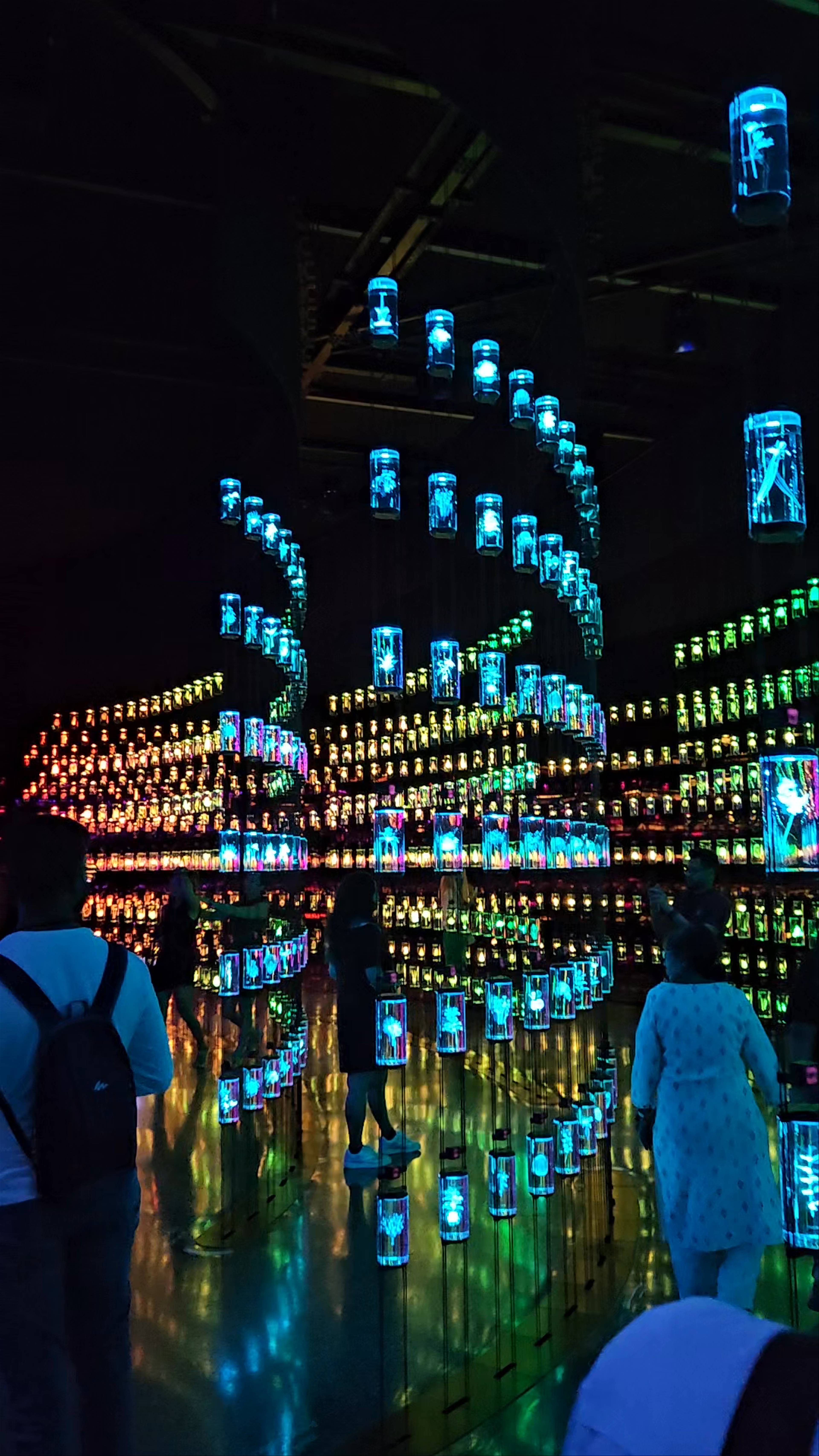 Museum of The Future - Sheikh Zayed Road - Dubai - United Arab Emirates