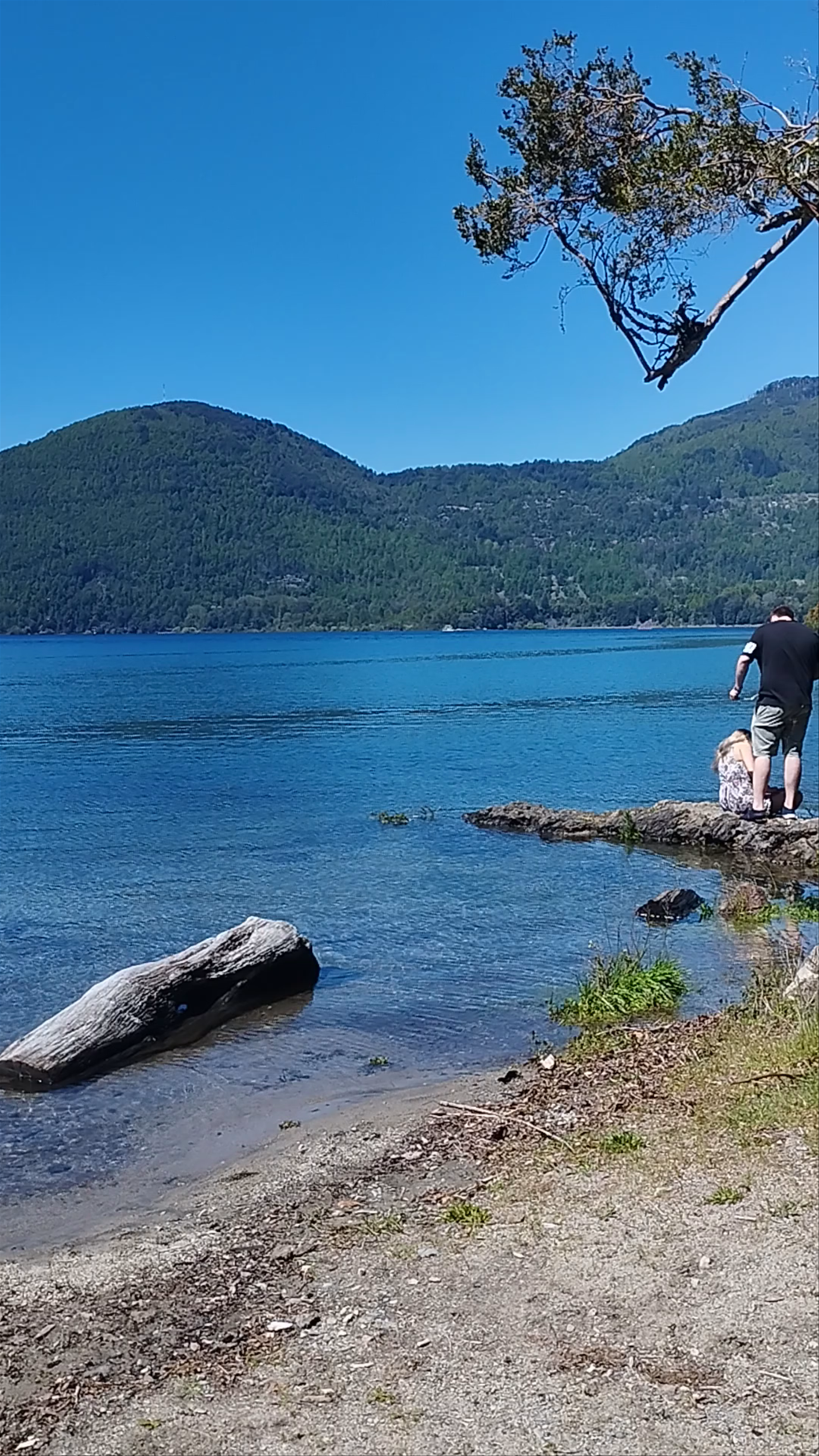 Playa Blanca Caburgua