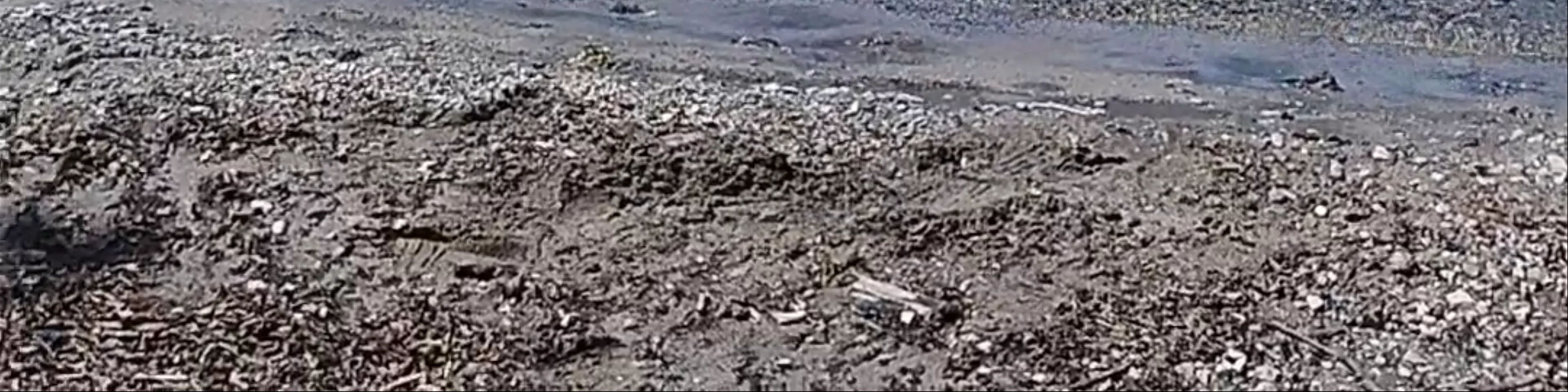 Playa Blanca Caburgua