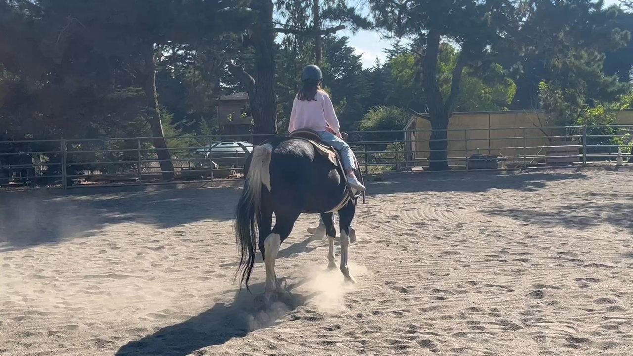 Double J Ranch - Horseback Riding Near Me - Montara, California