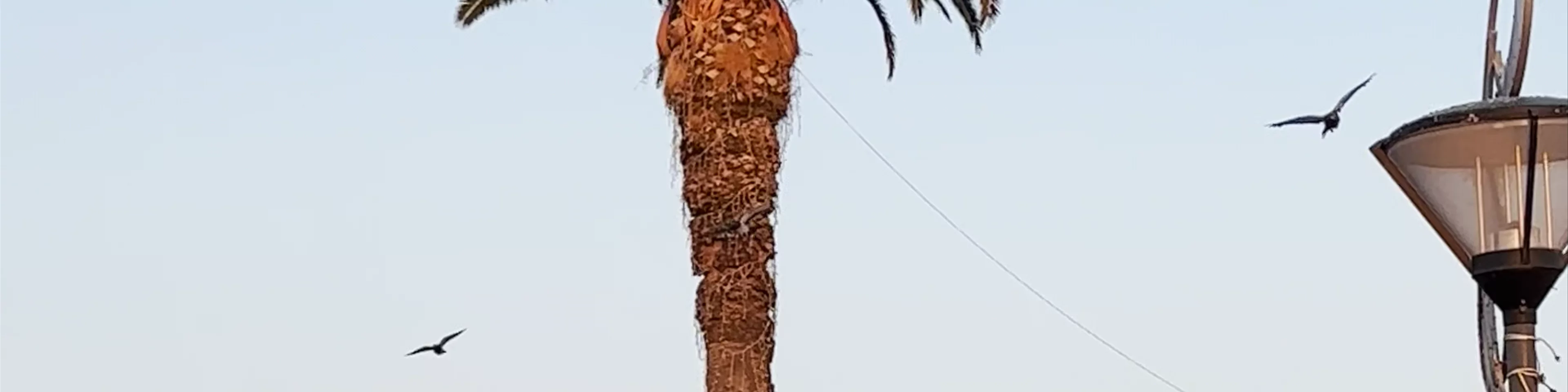 Konak Meydanı
