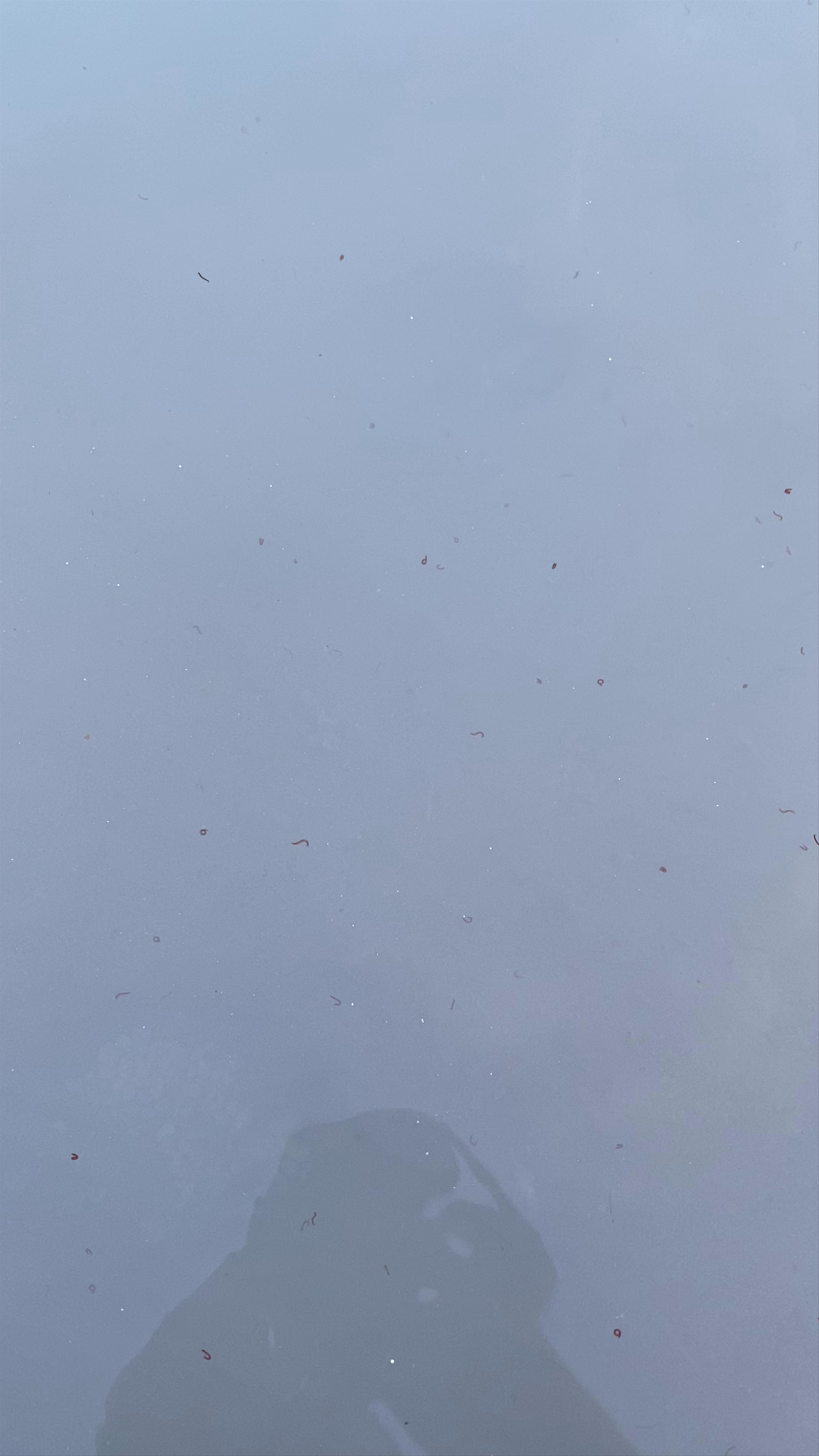 Cascate del Mulino-Hot Spring