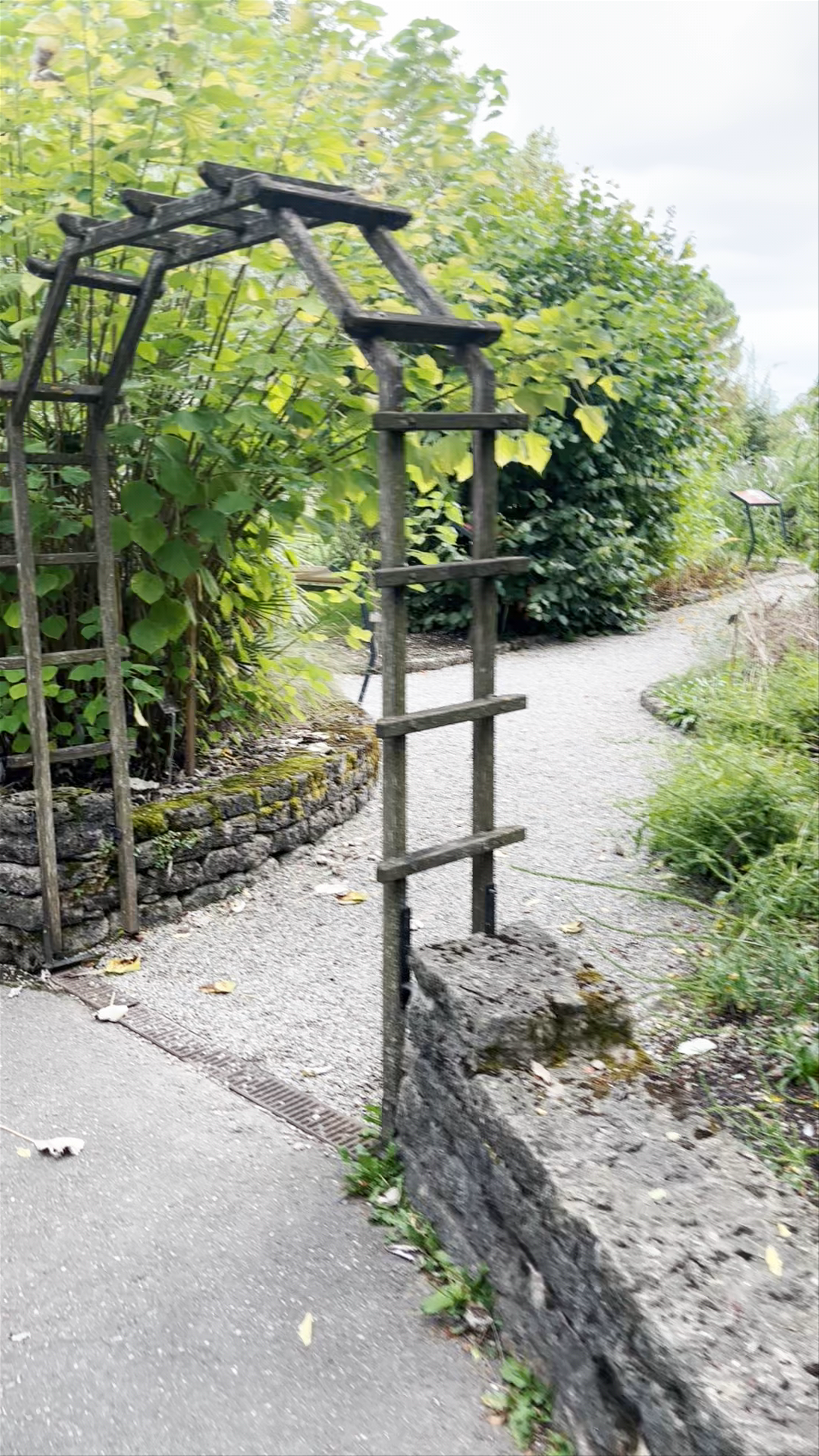 Serene Garden Pathway in Pregny-Chambésy near Geneva