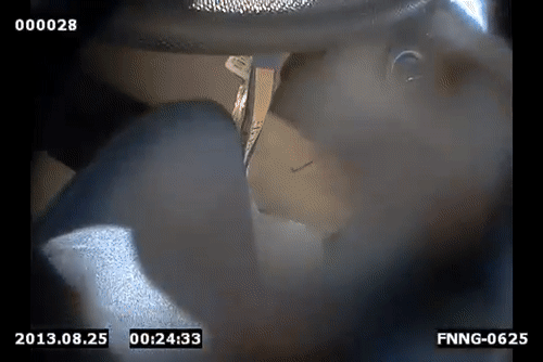 Video Thumbnail Loop