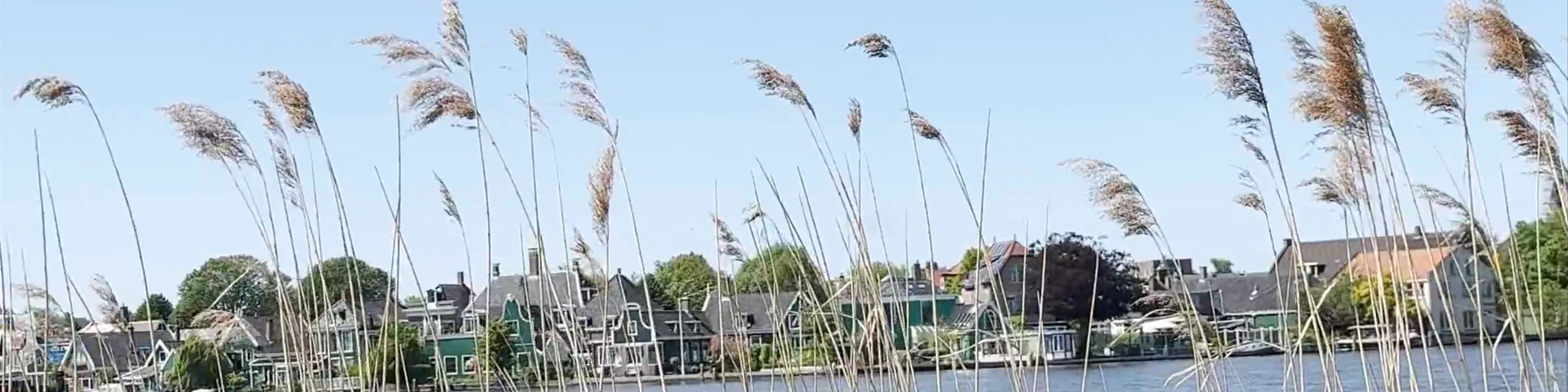 Verfmolen De Kat