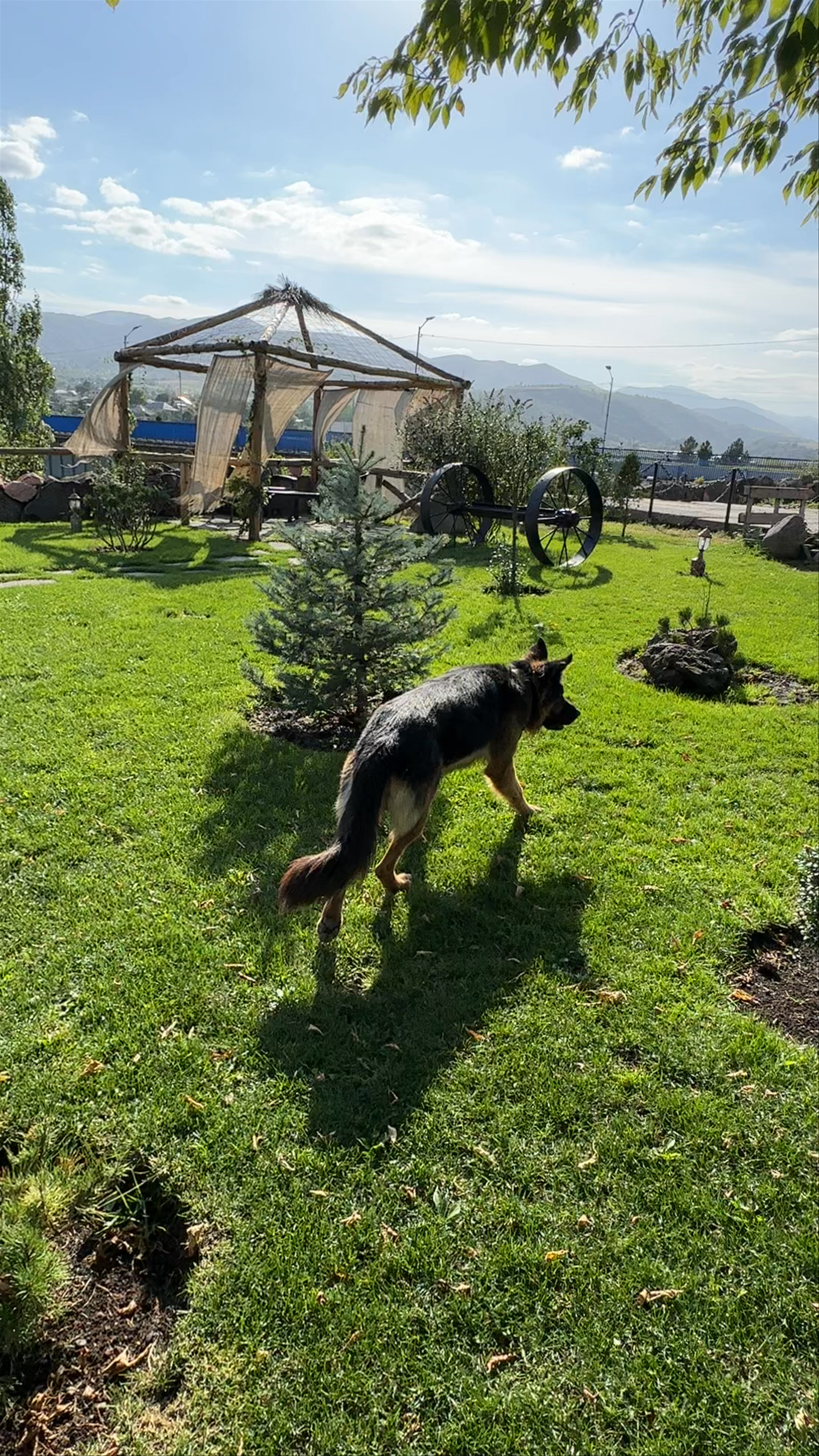 Sochi Resort Stepanavan