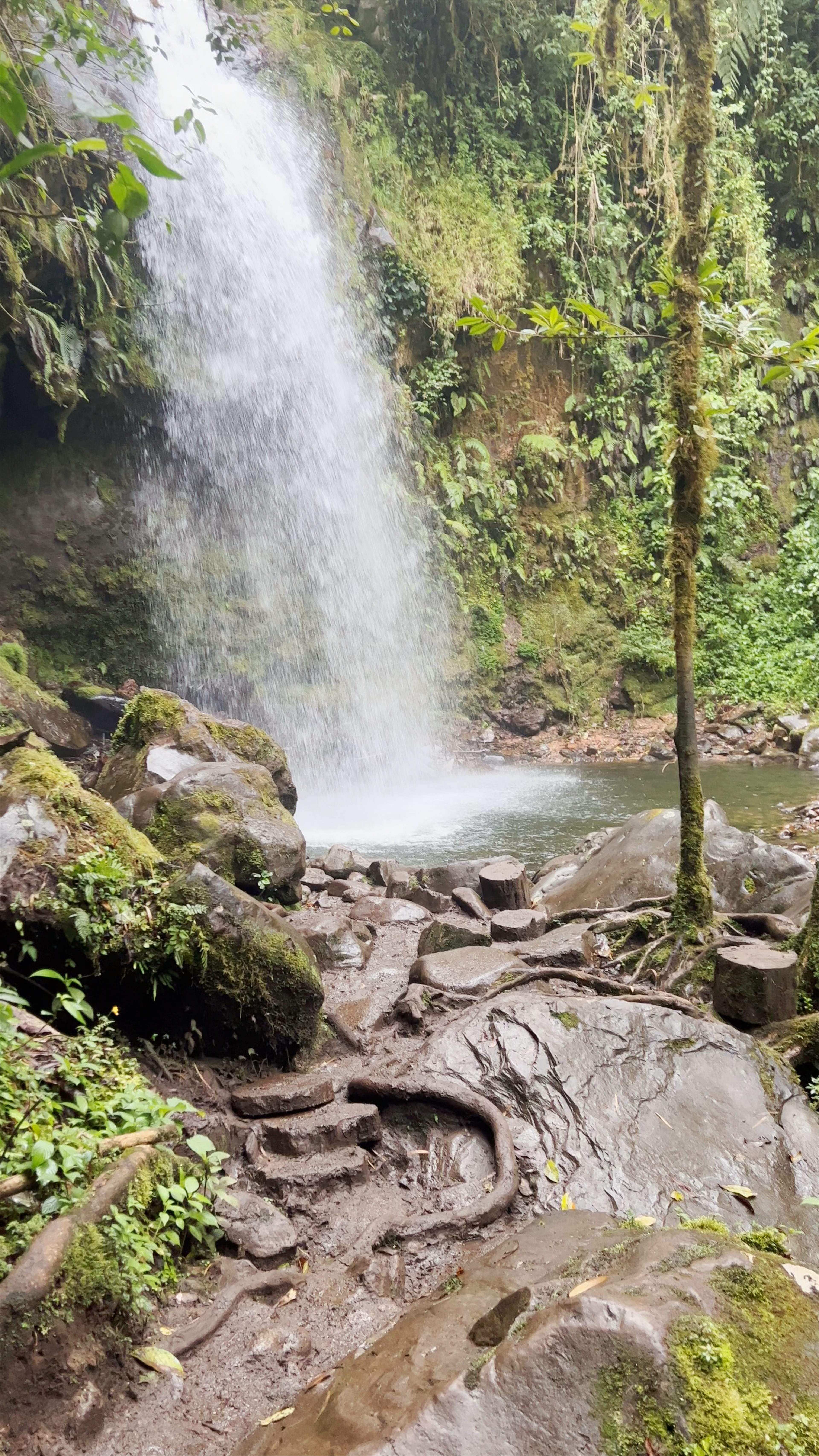 The Lost Waterfalls / Las Tres Cascadas