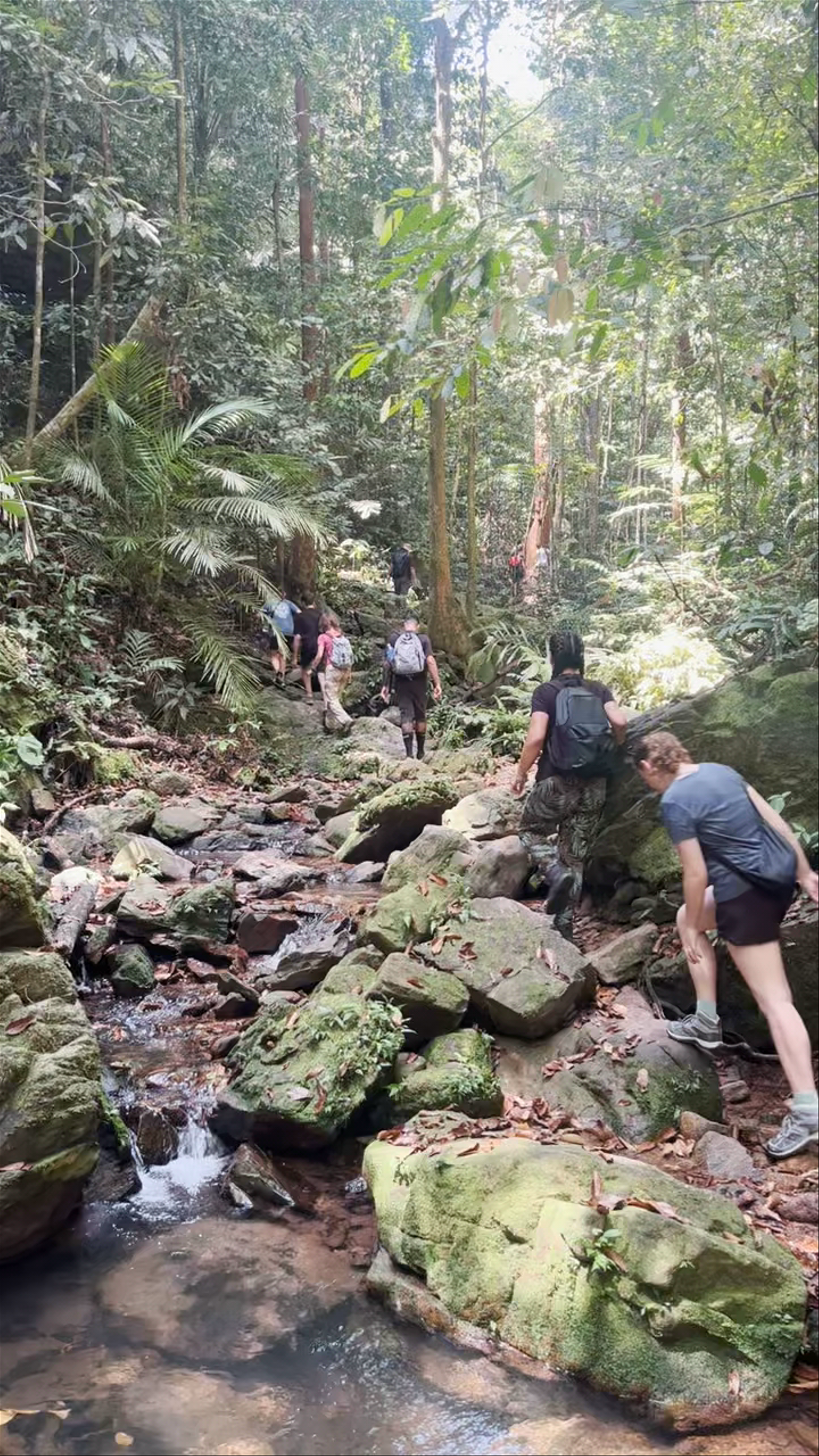 Taman Negara National Park