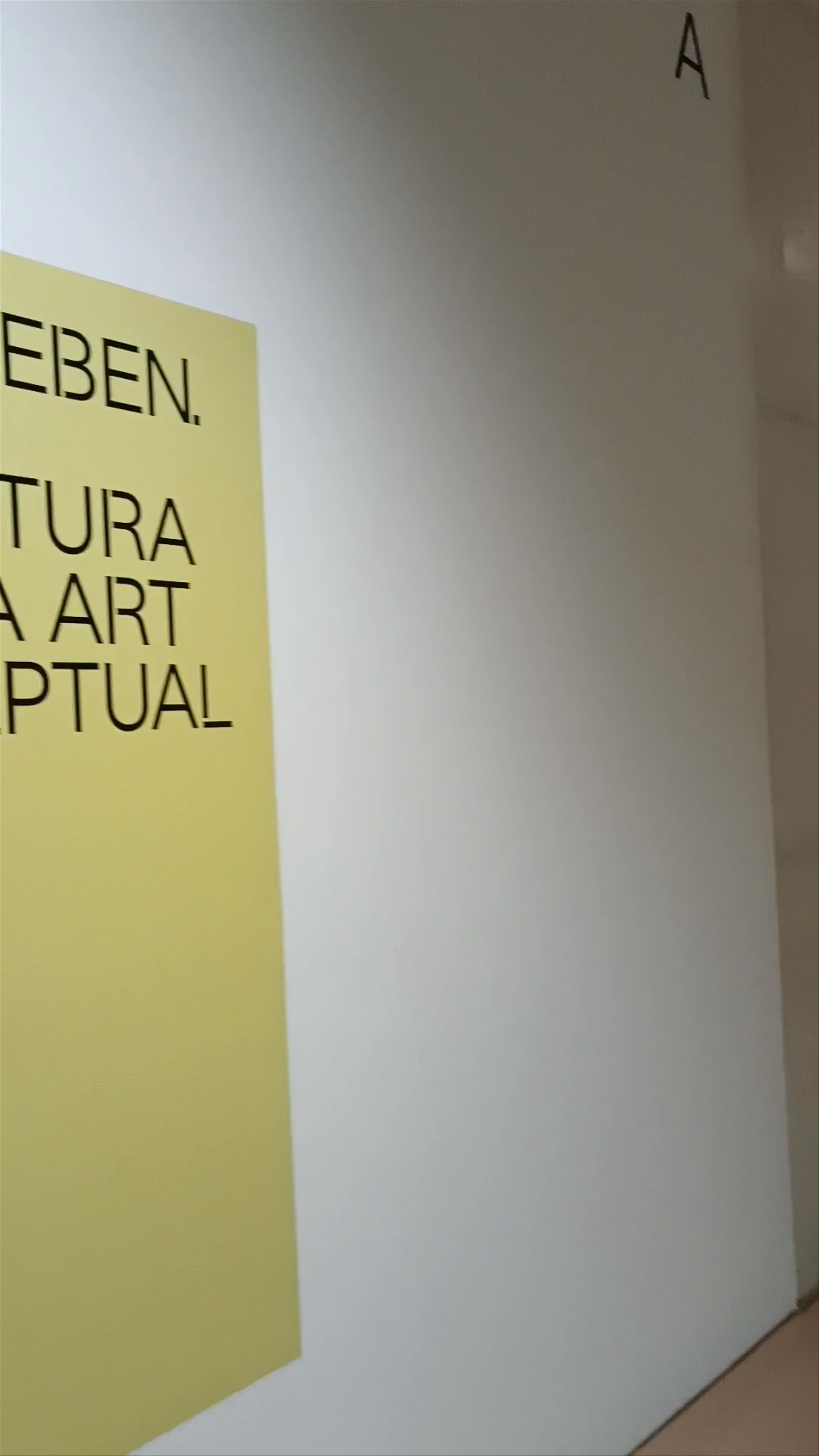 Es Baluard Museu d'Art Contemporani de Palma