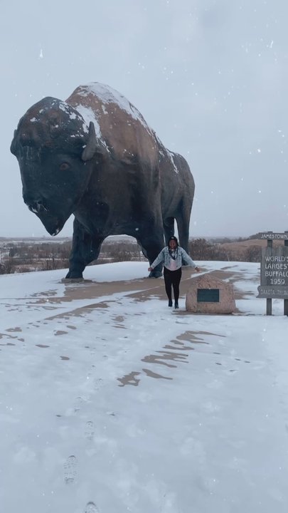 World's Largest Buffalo Monument - Landmarks & Historical Buildings Near Me - Jamestown, North Dakota