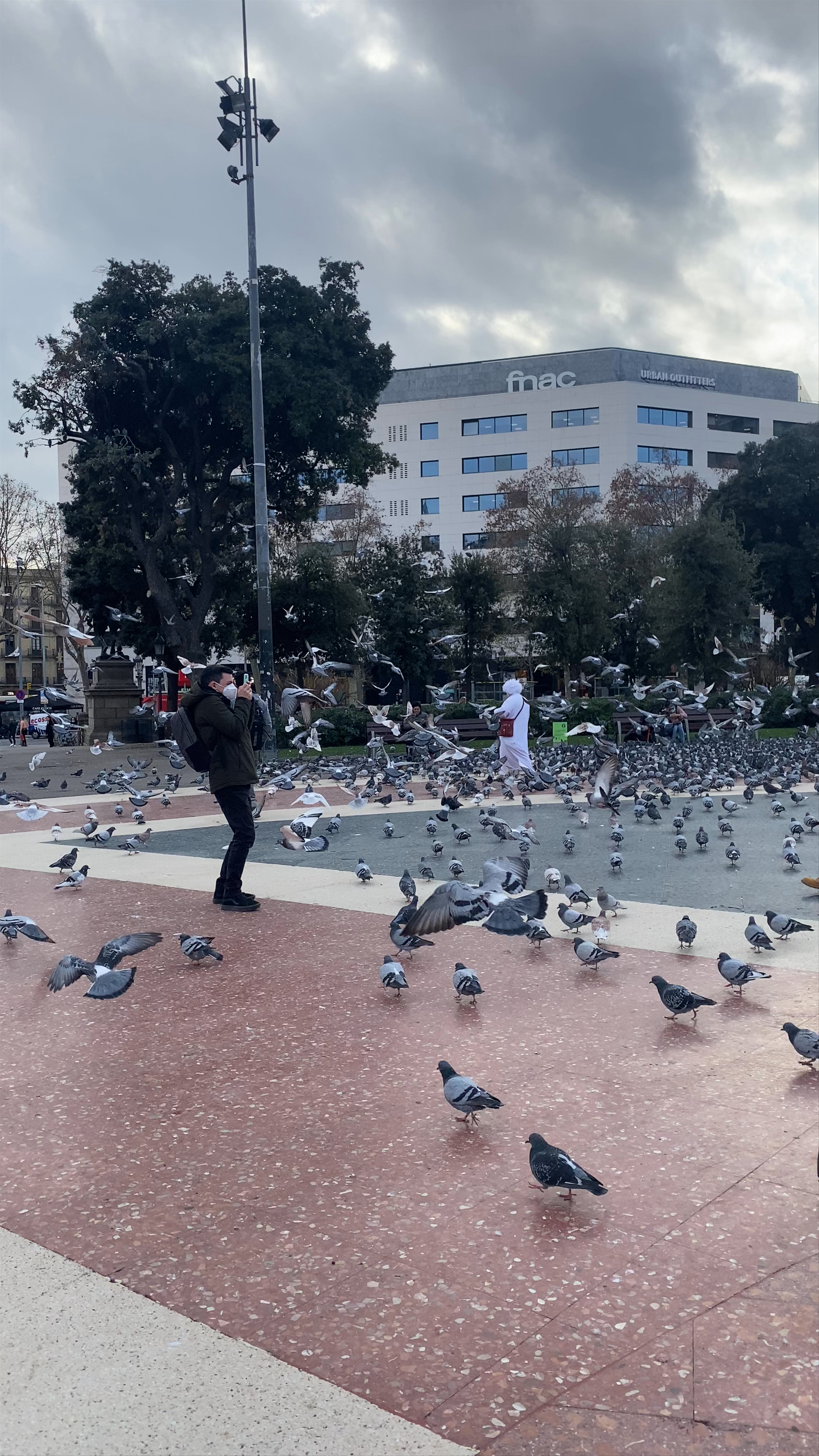 Plaça de Catalunya: Heartbeat of Barcelona’s Urban Life