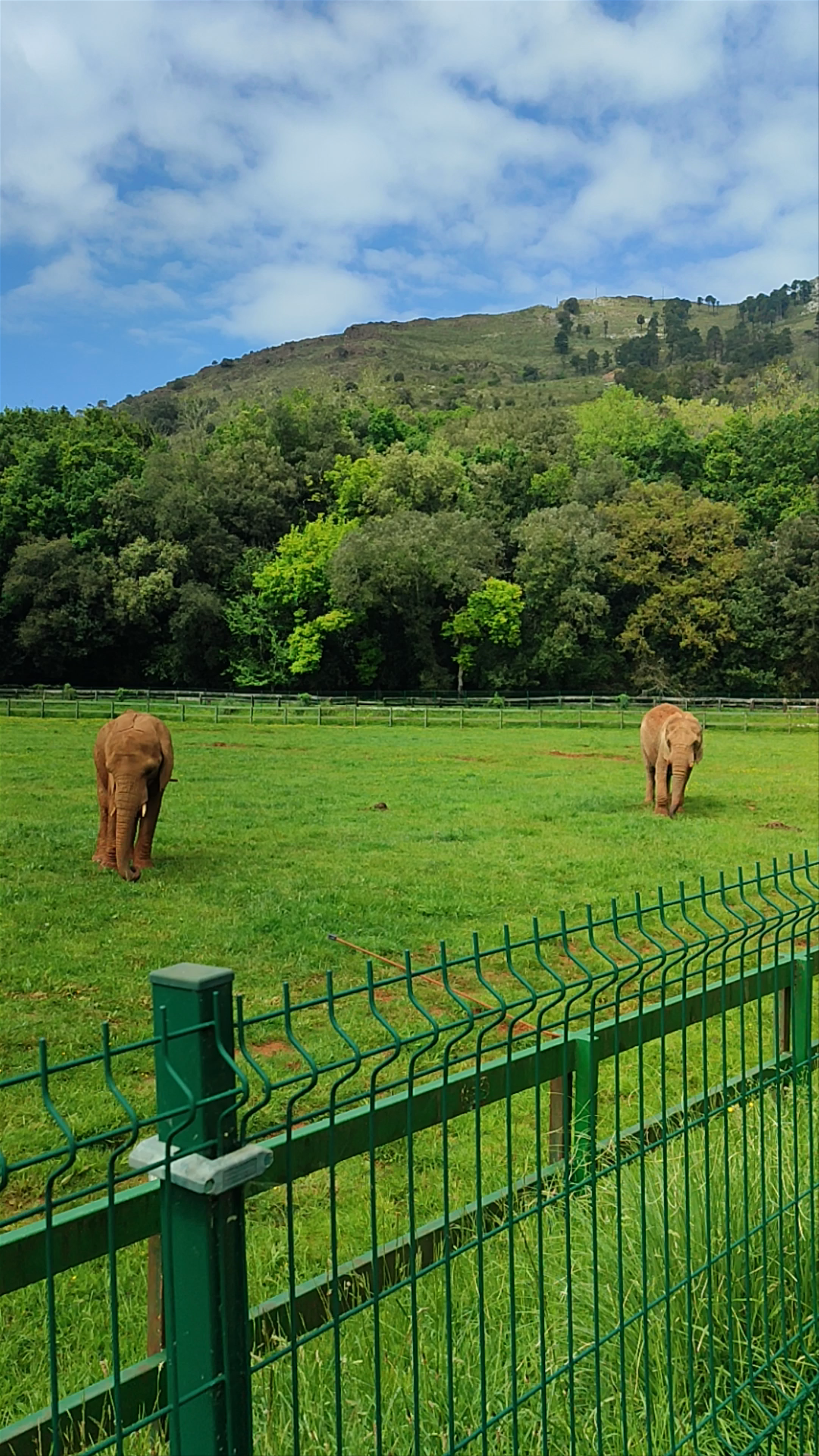 Cabárceno Natural Park