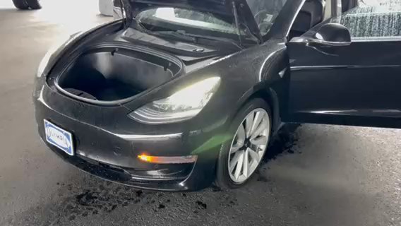 Olympia Auto Sales - #2880 - 2020 Tesla Model 3 Standard Range Plus