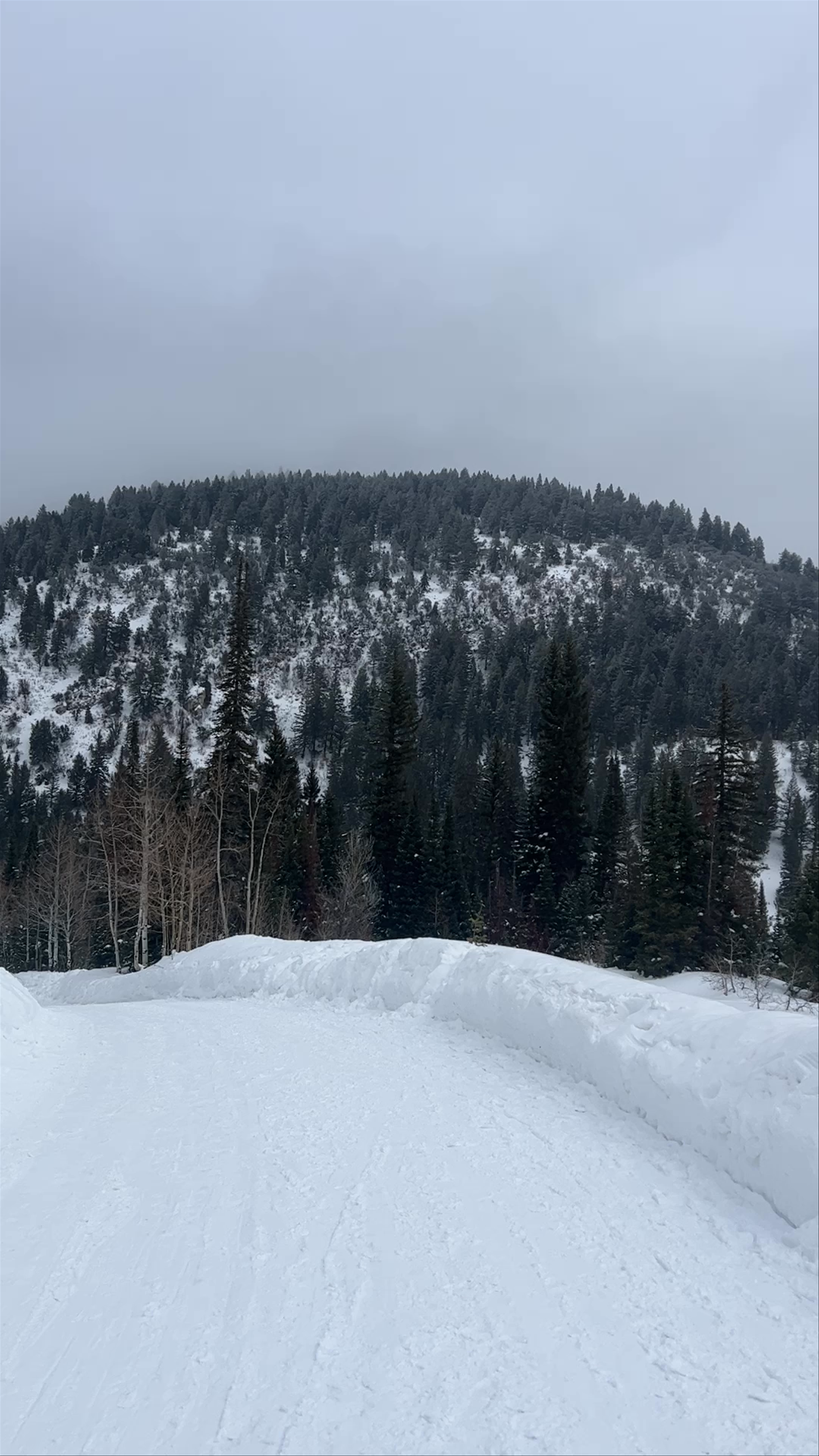 Donut Falls Summer Trailhead