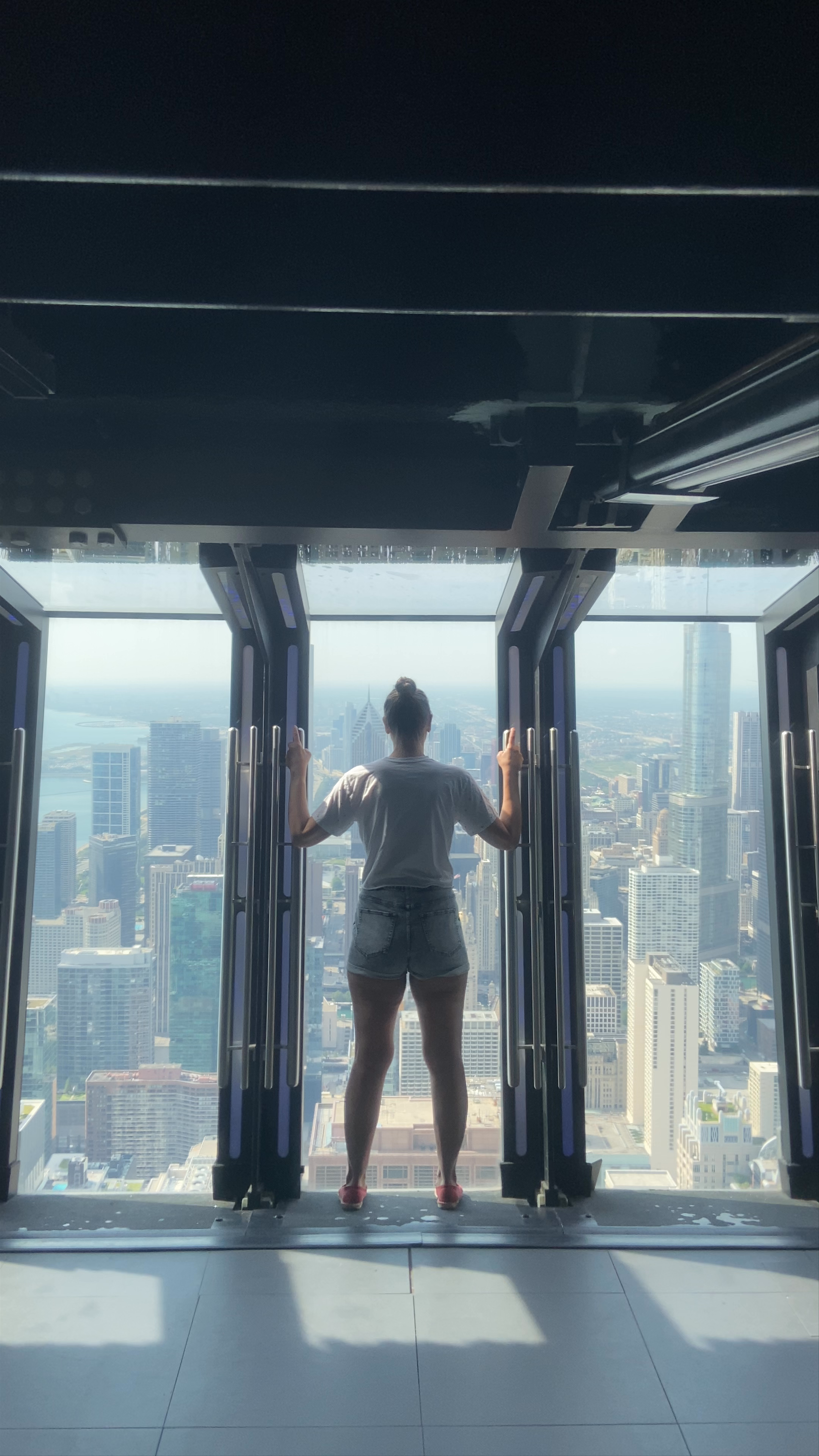 Breathtaking Chicago Skyline View from 875 N Michigan Ave