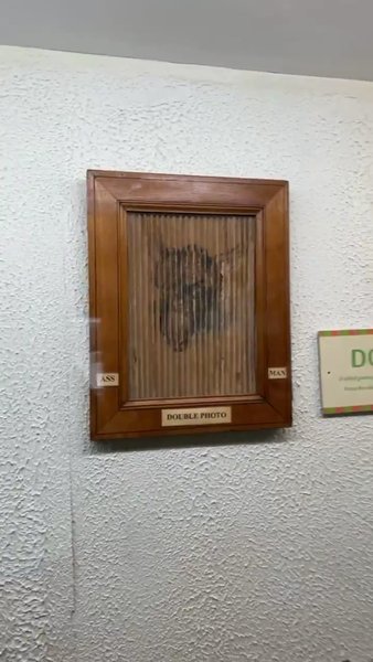 Photo of Salar Jung Museum