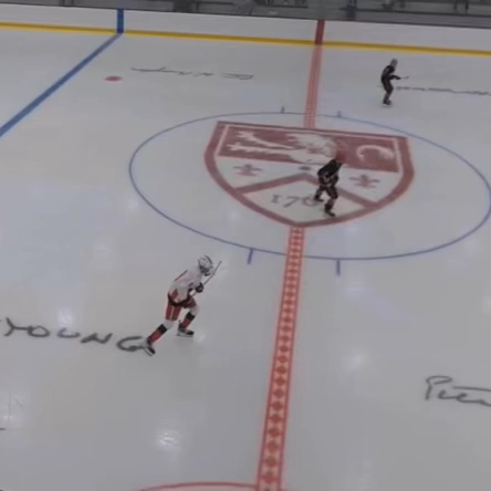 Backhand goal