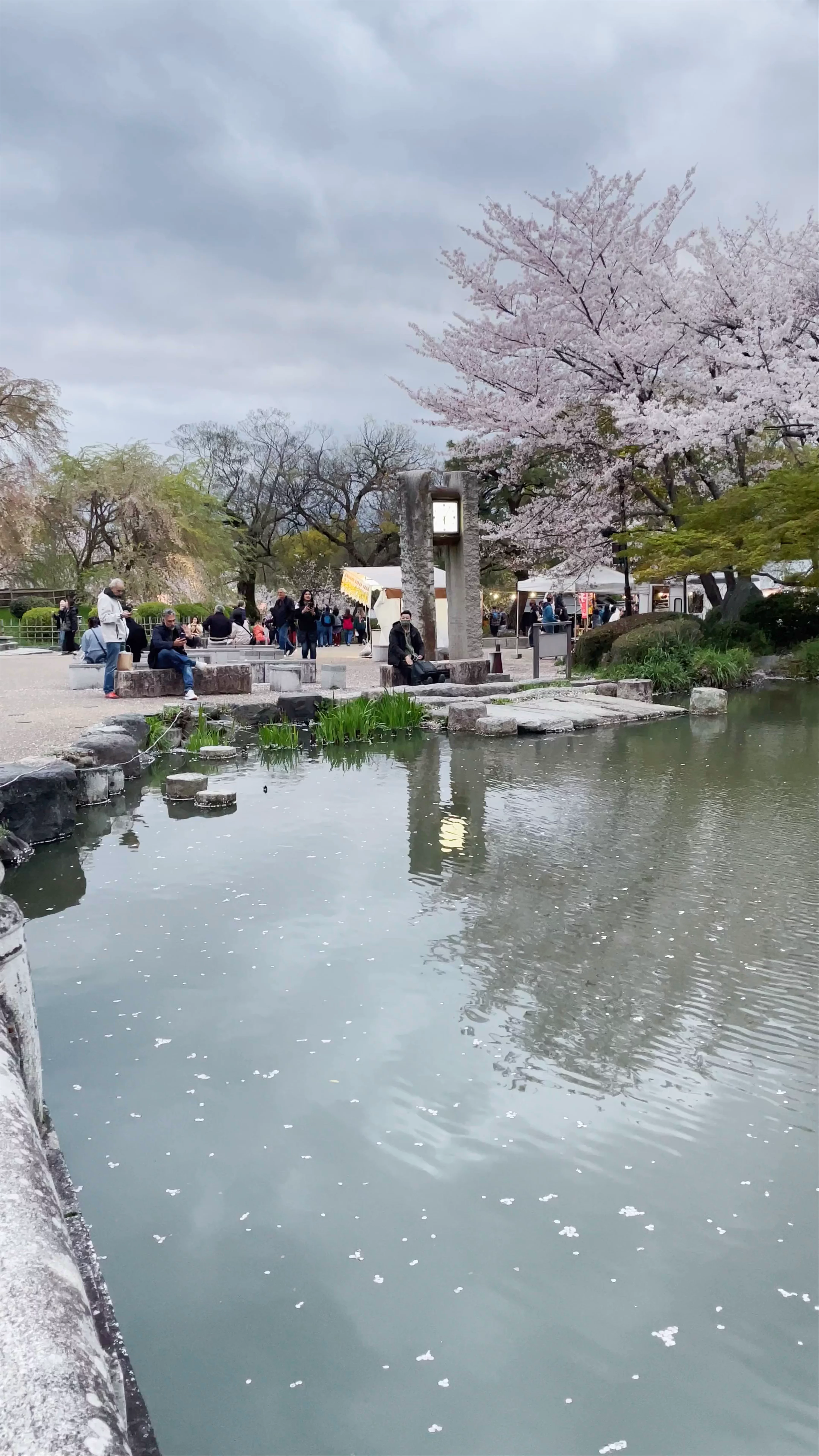 Maruyama Park, Maruyamachō, Higashiyama Ward, Kyoto, Japan