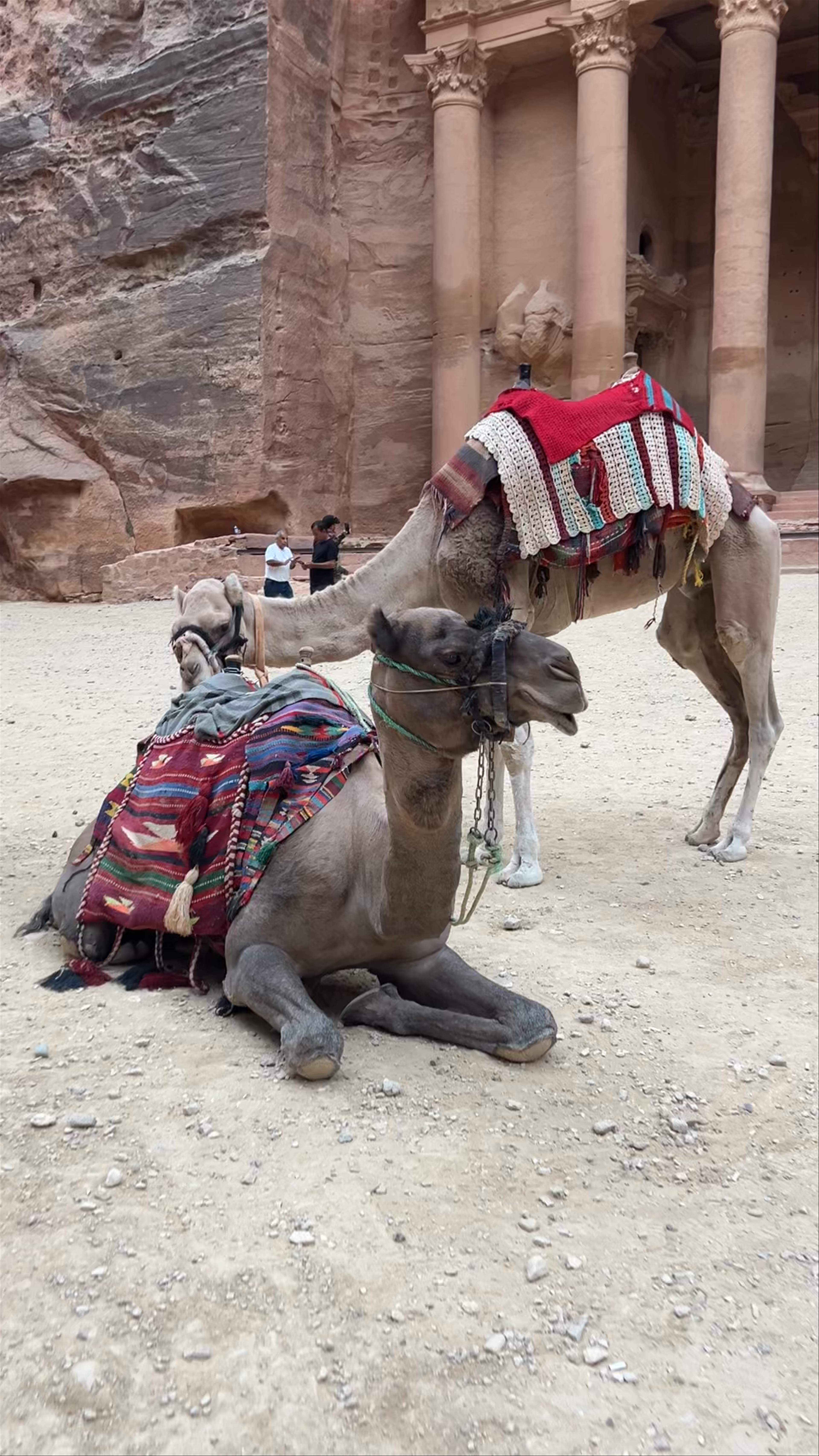 Petra