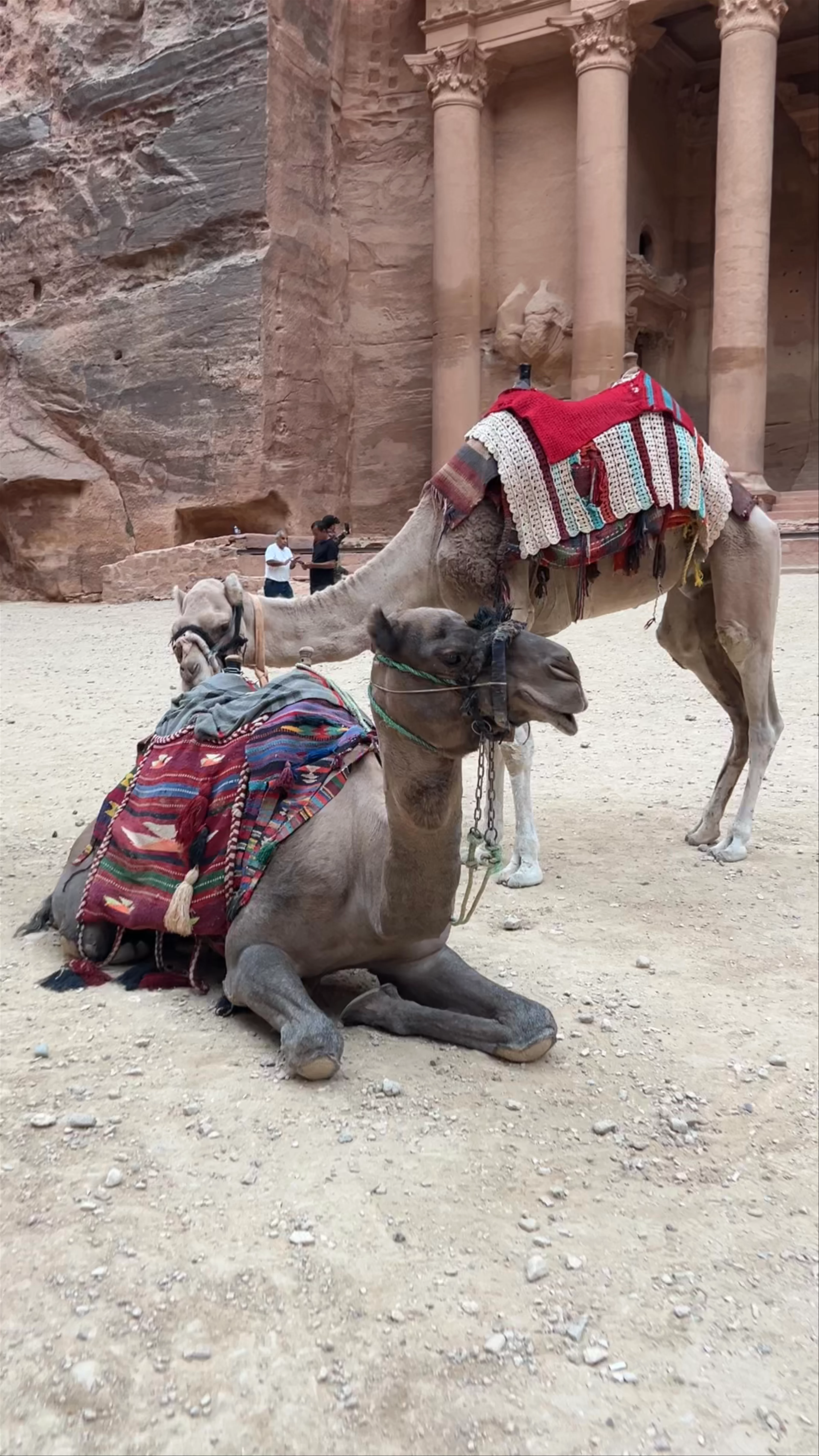 Petra