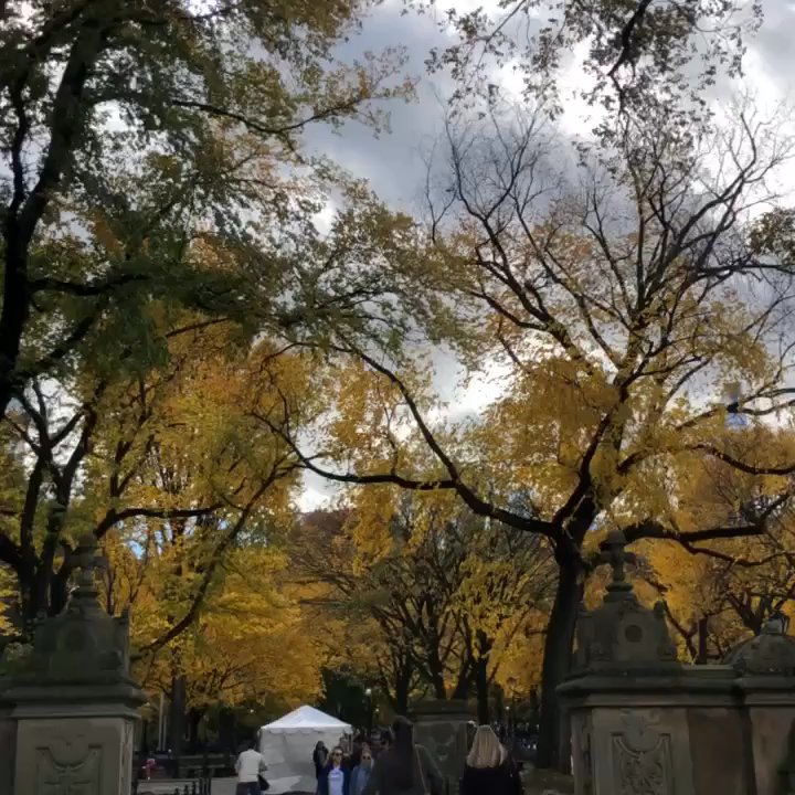 Central Park Sightseeing - Tours Near Me - New York, New York