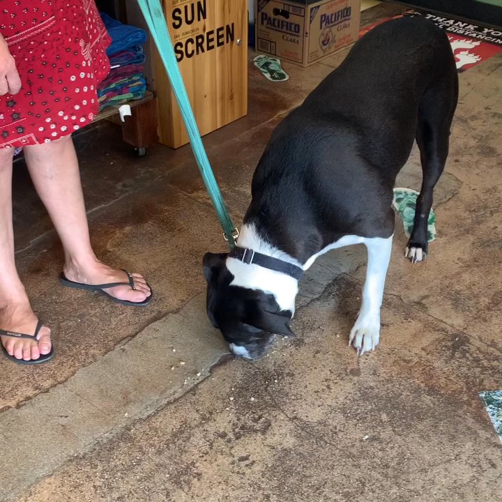Rodeo General Store - Delis Near Me - Makawao, Hawaii