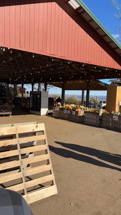 Carter Mountain Orchard - Such a nice view - Pick Your Own Farms Near Me - Charlottesville, Virginia