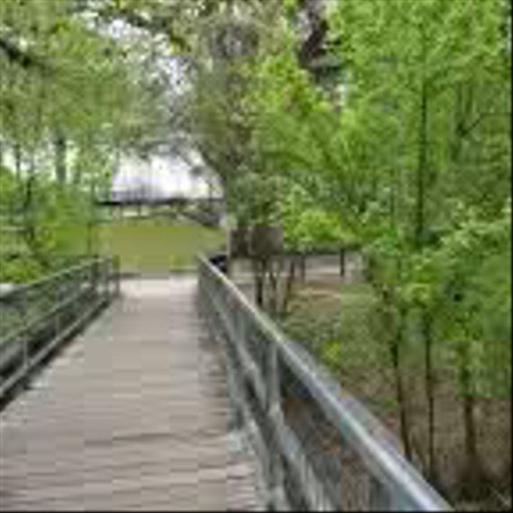Prince Solms Park - Parks Near Me - New Braunfels, Texas