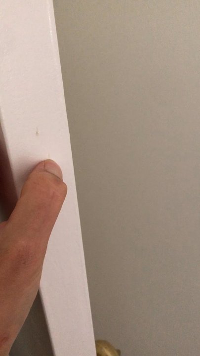Design Pro Remodeling - Paint by design pro peeling. Painted latex over oil and damaged our doors and trim. - General Contractors Near Me - Fairfax, Virginia