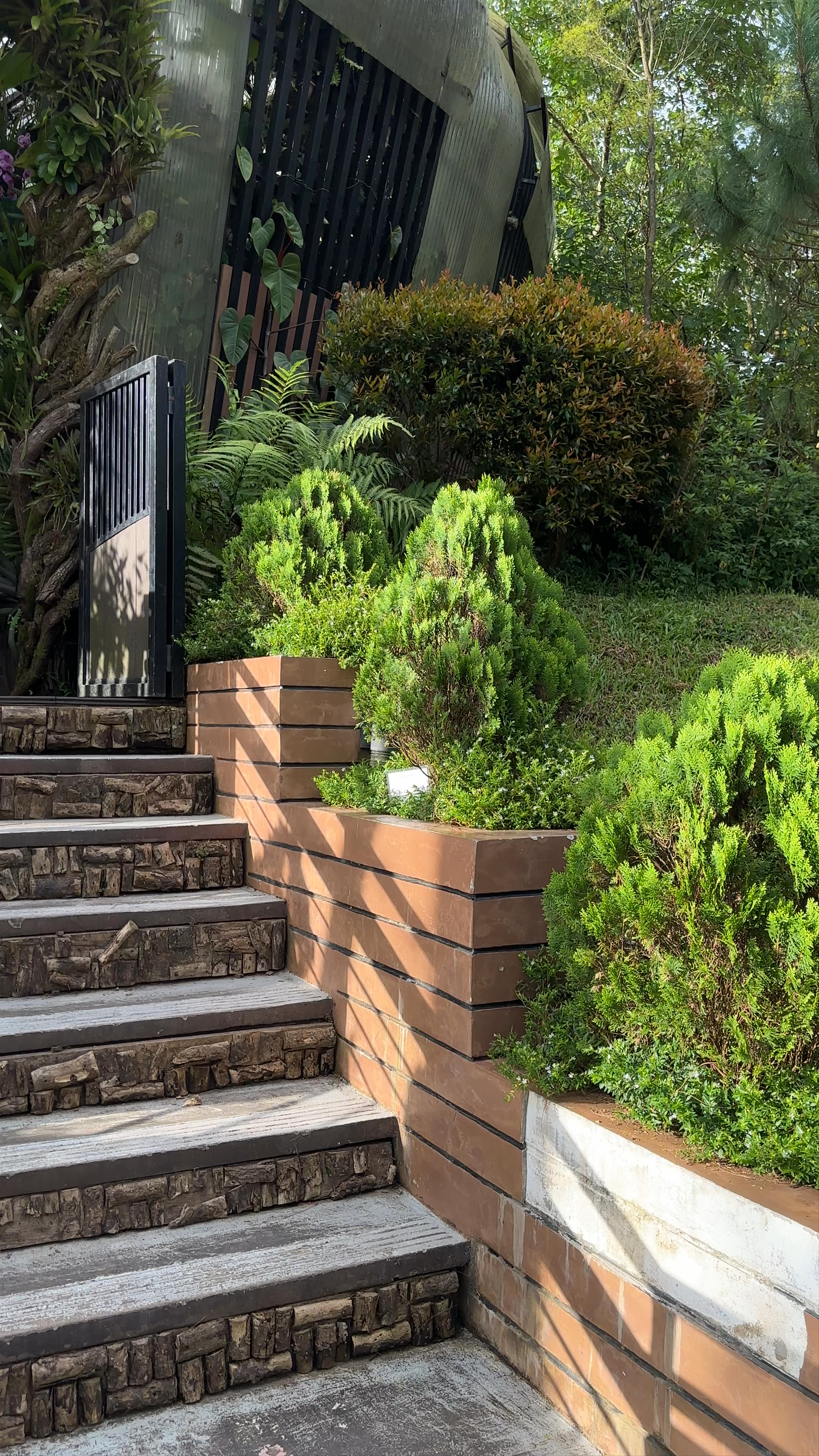 Baguio Botanical Garden