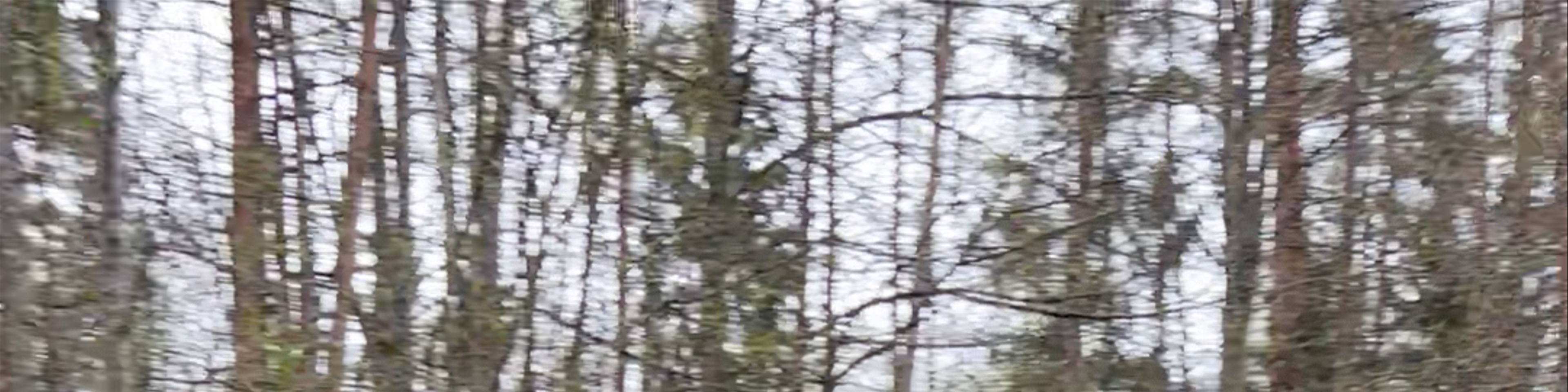 Tērvete Nature Park