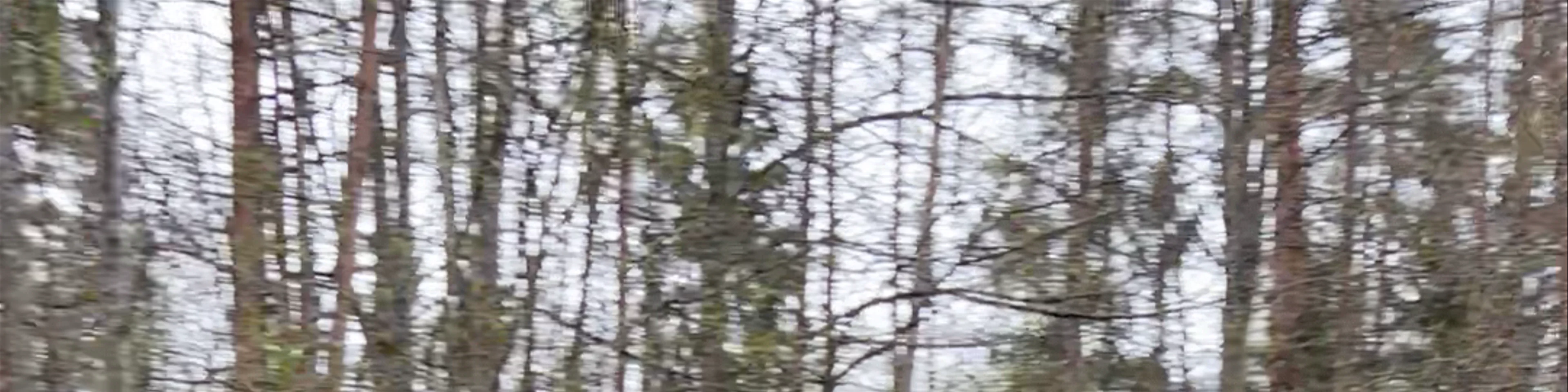 Tērvete Nature Park
