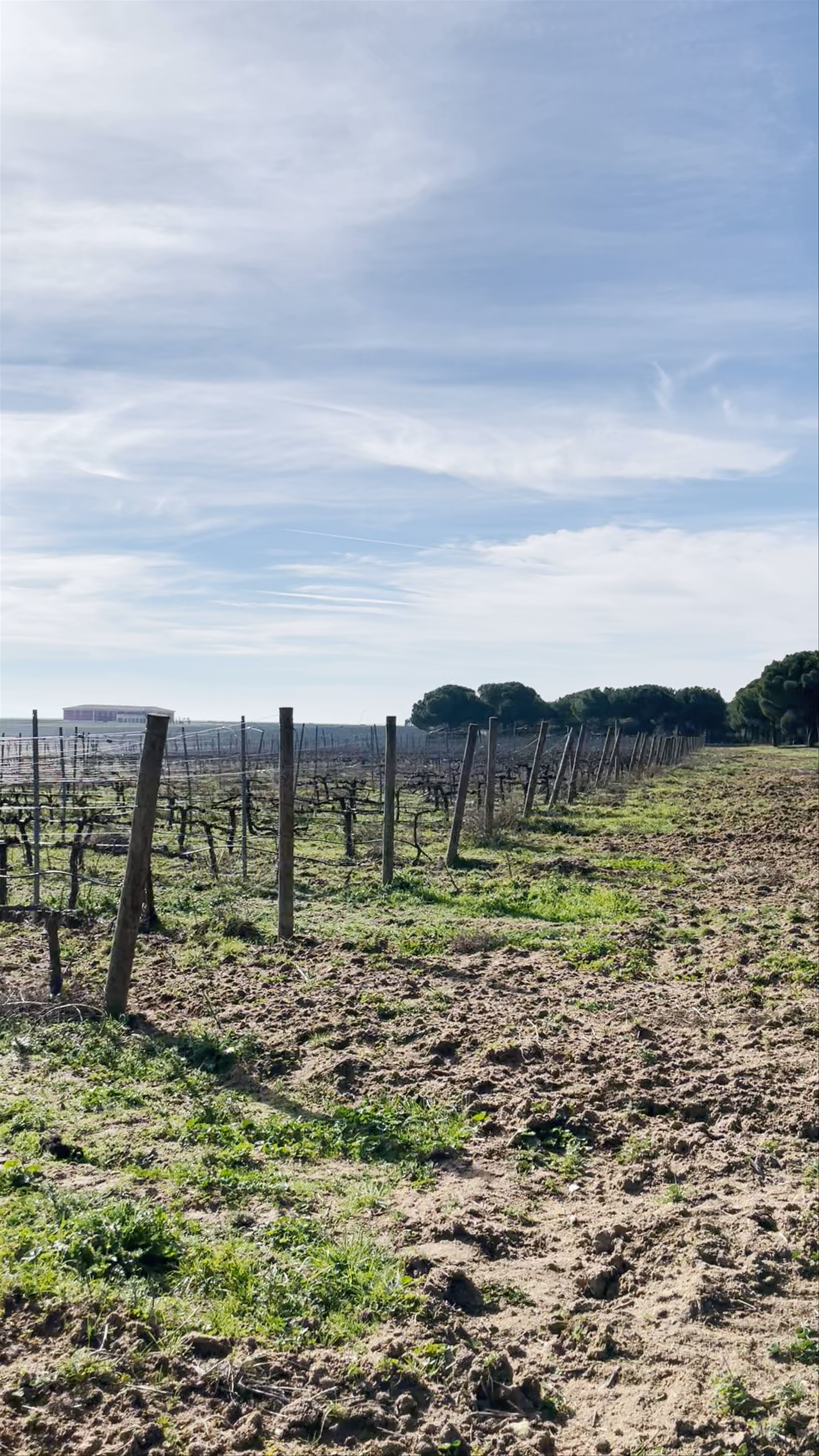 Finca Las Caraballas Cultivos Ecológicos