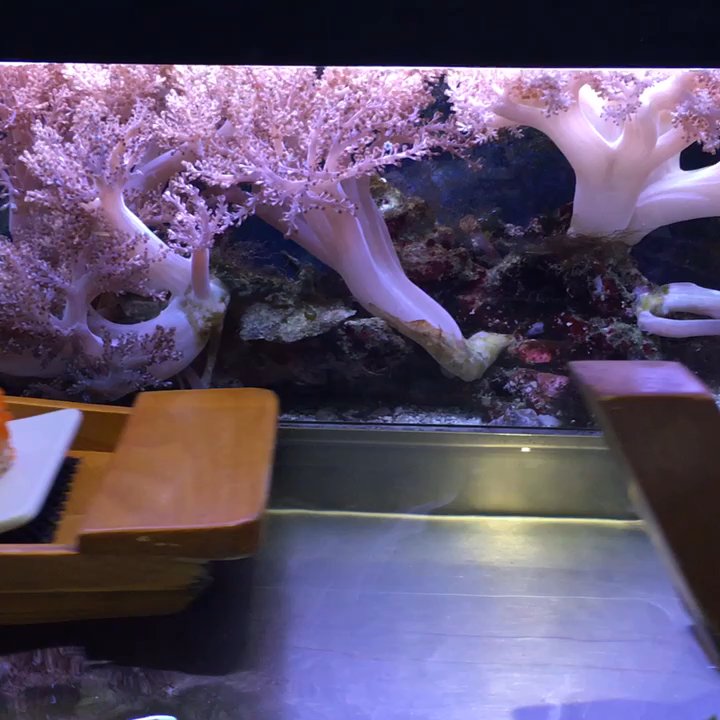 I-Ke-Su - Sushi Bars Near Me - Berlin, BE