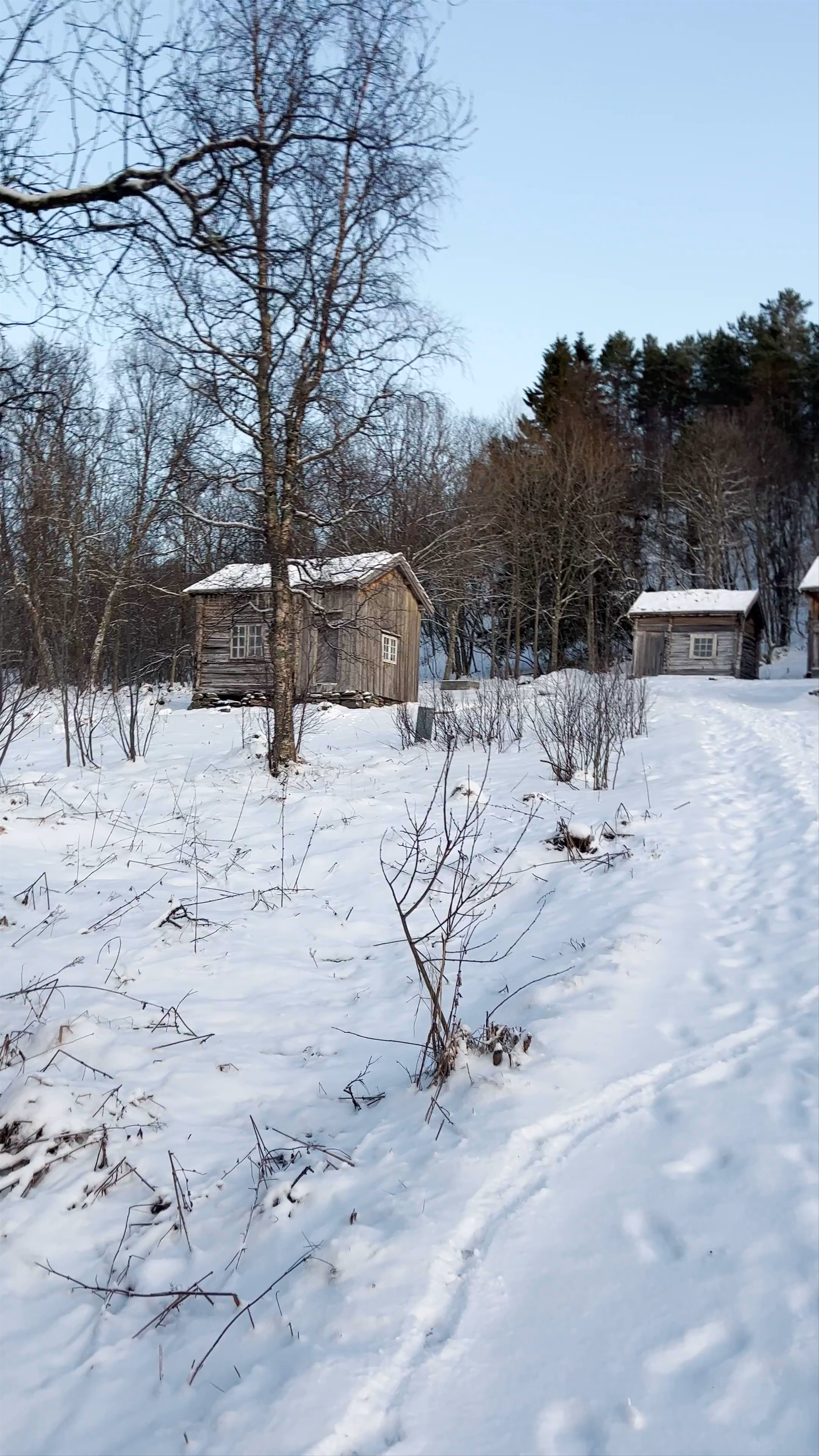Winter Serenity at Mortengården, Tromsø Norway