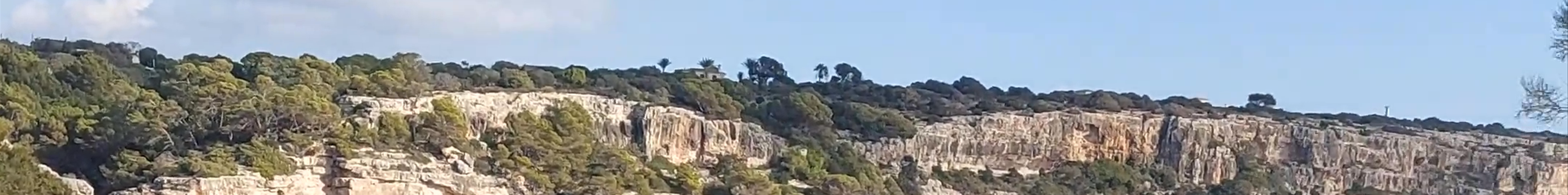 Tours & experiences in Santanyí