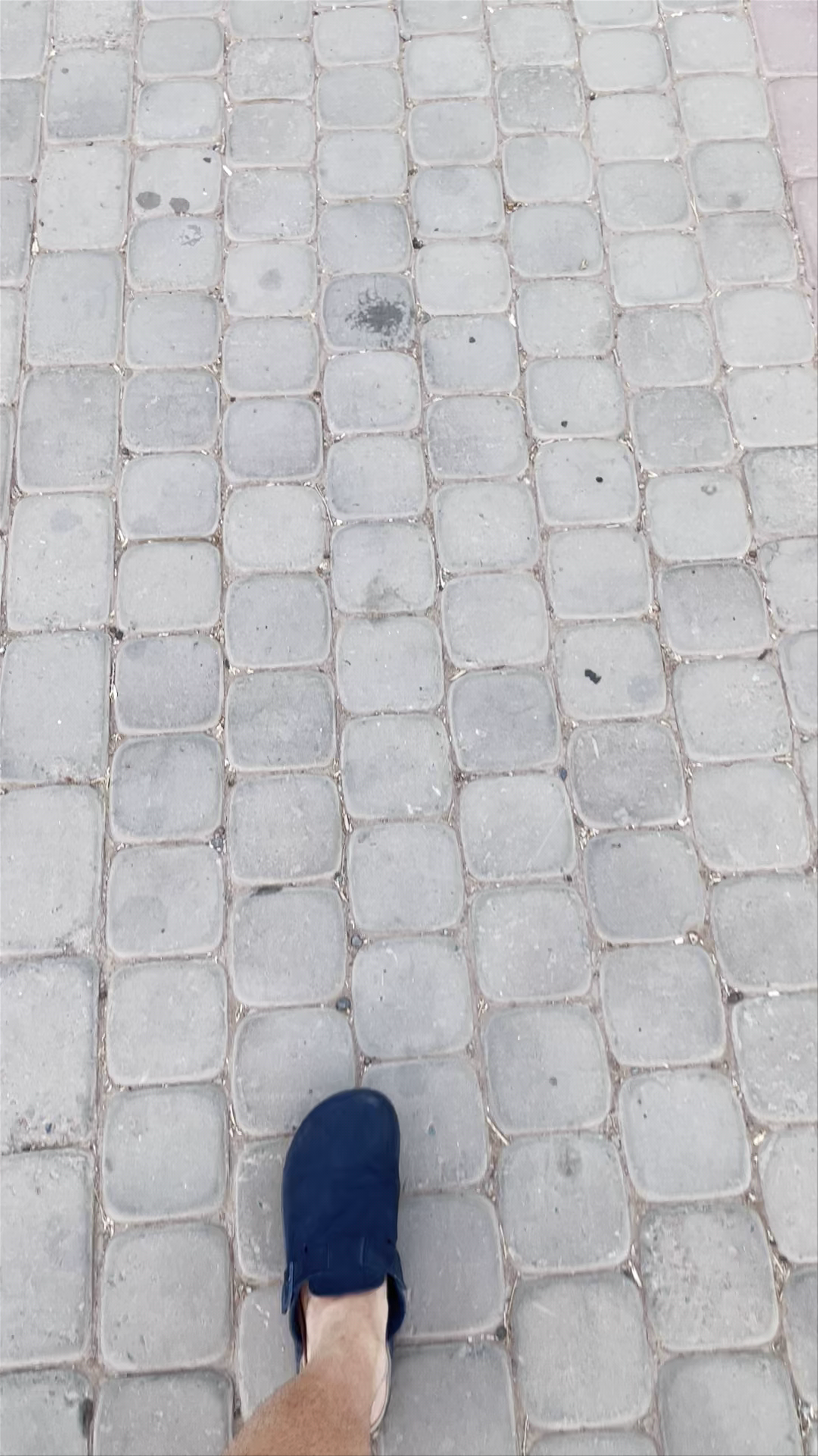 Serene Stroll through Parque Lalla Hasna in Marrakesh