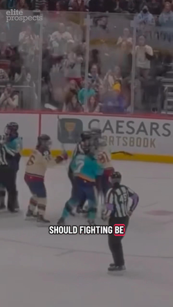 Should Fighting Be Allowed In Women's Hockey?